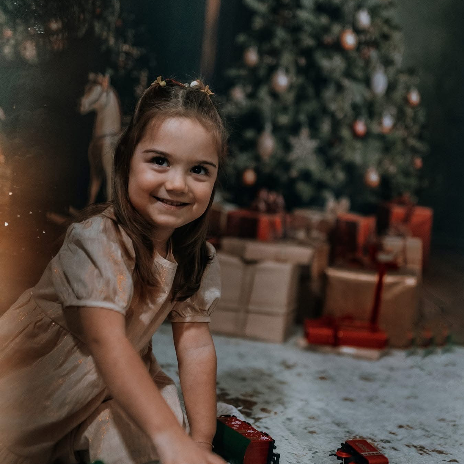 🎄 SEDINTE FOTO DE CRACIUN 2025. Emotions Photo Art