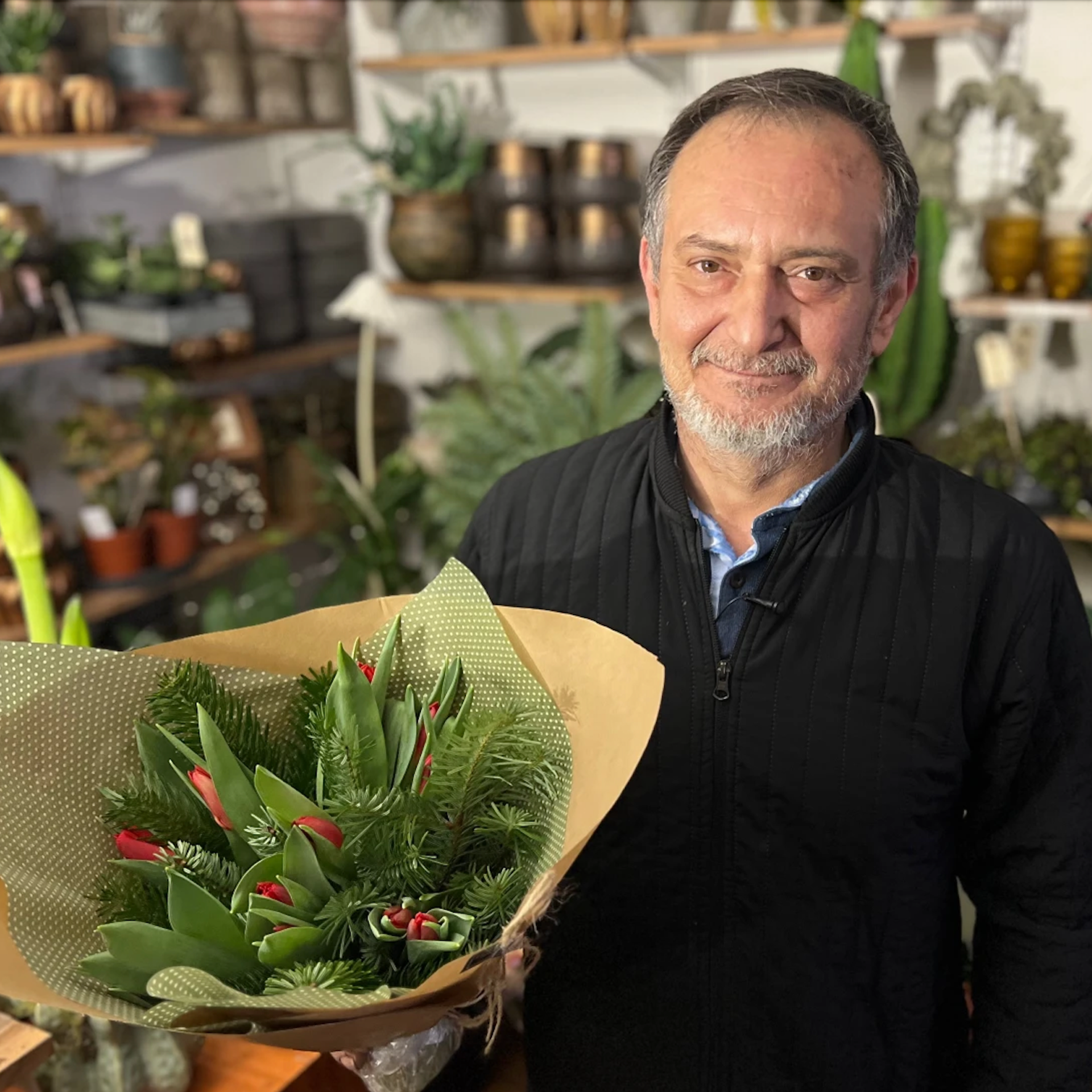 Tulipaner 4 råd om passning. Akropolis Blomster | Din døgn blomsterbutik i Aarhus