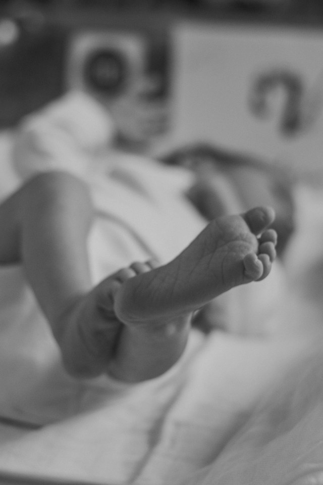 Precios. Fotógrafa infantil y de lactancia materna y maternidad en Barcelona