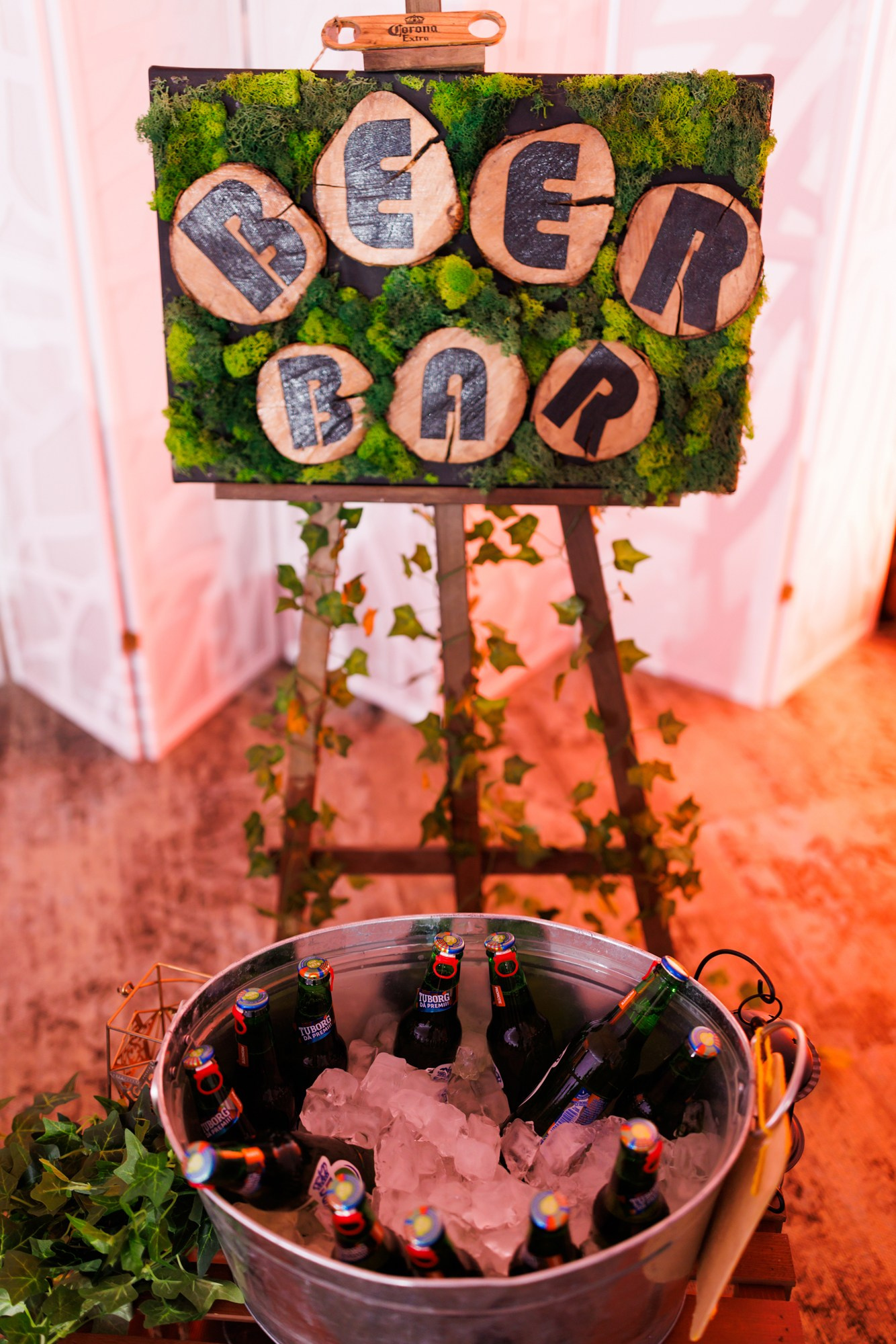 Andrei si Adelina. Fotograf și videograf de nuntă R. Moldova, Romania