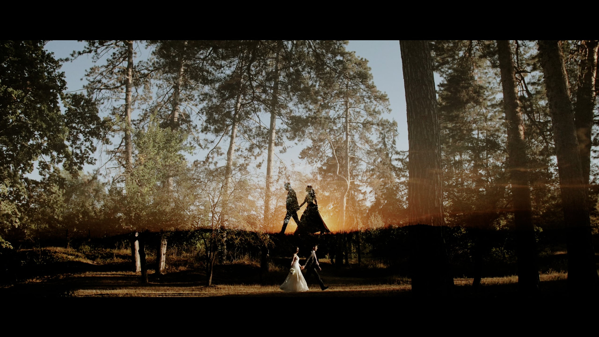 Video. Servicii Foto Video în Chișinău și Europa ID-Brothers