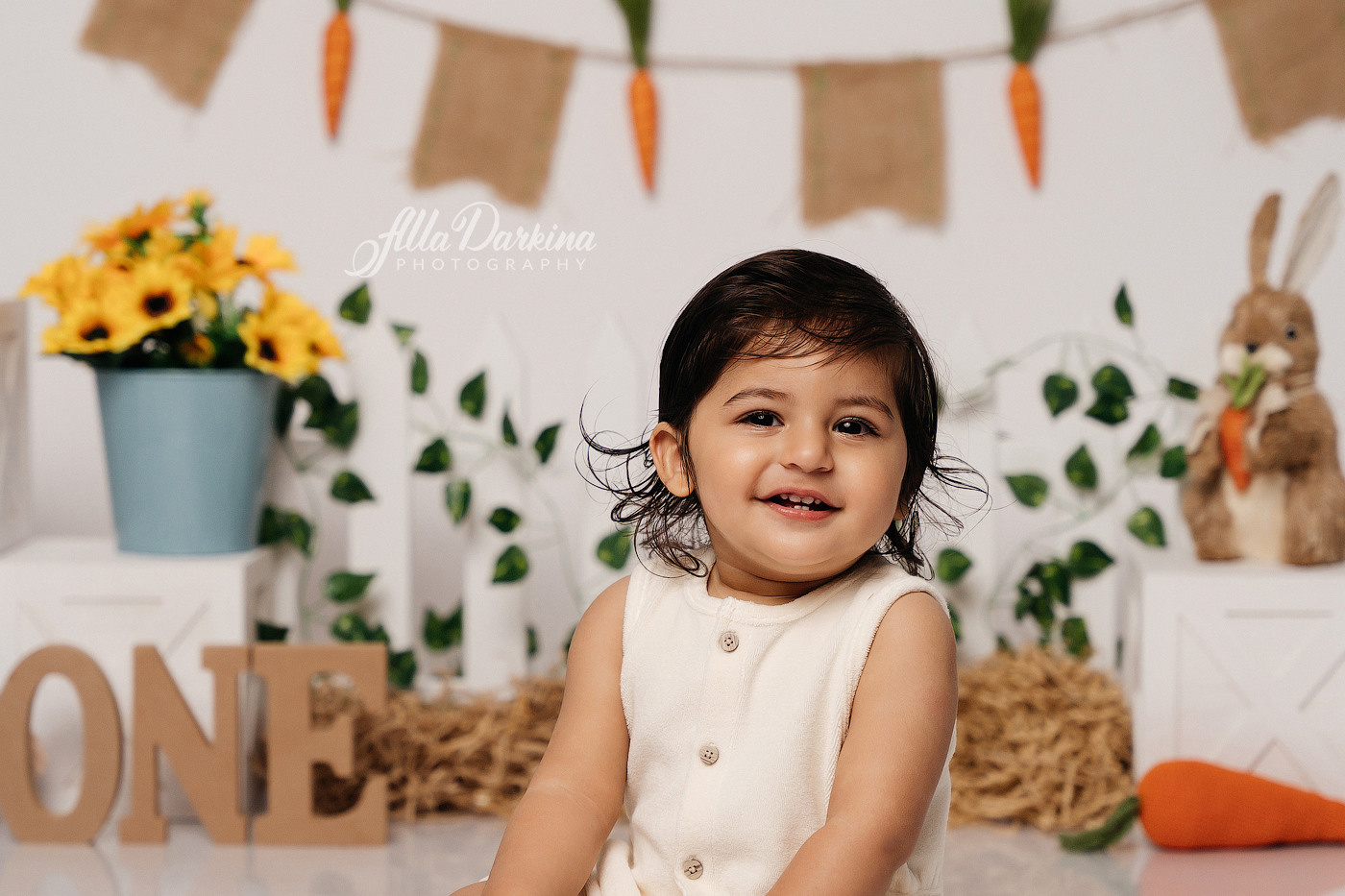 Cake smash session price guide. Newborn and family photographer. Hills District. Sydney