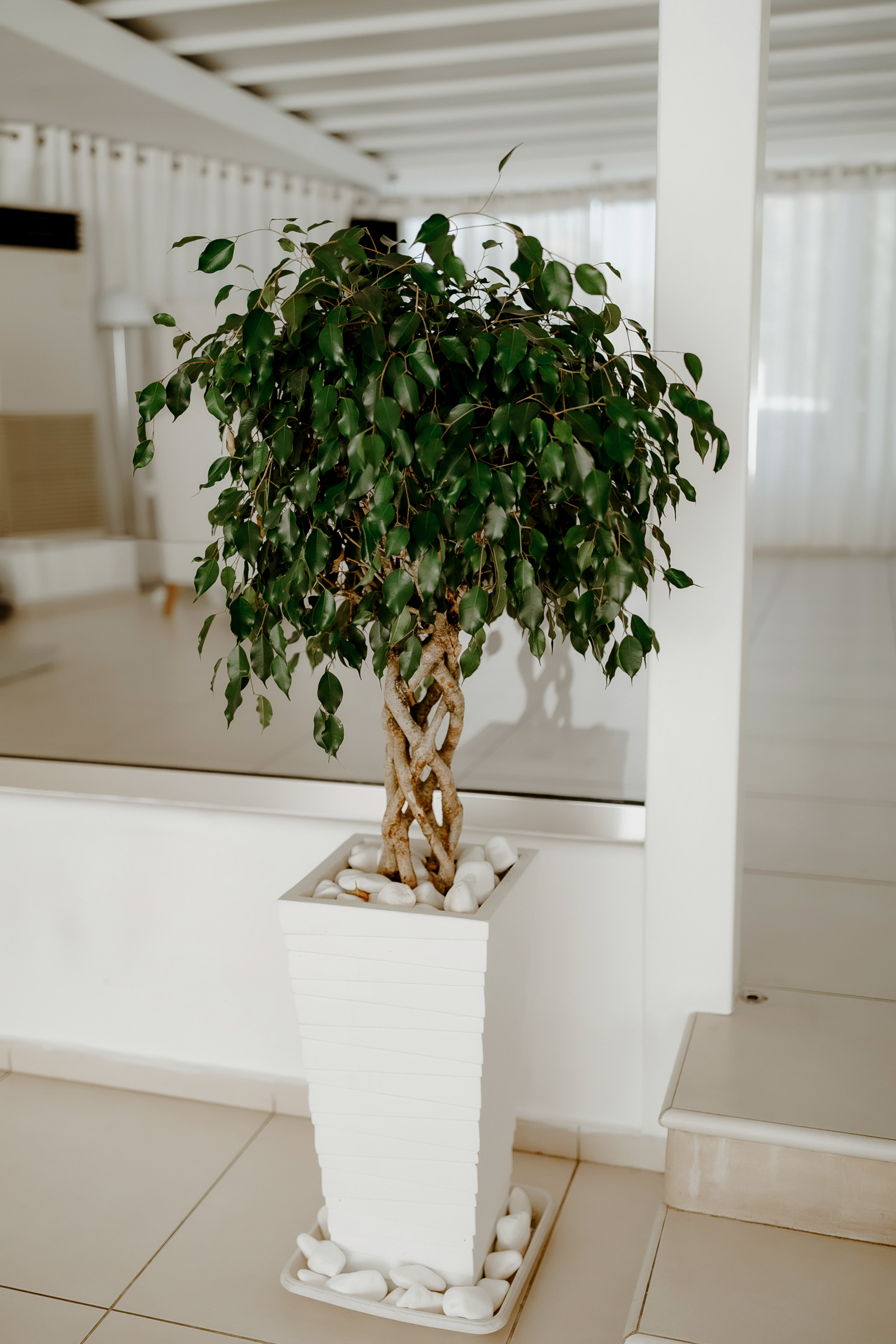 Drunk in love -Santorini-. Servicii Foto Video în Chișinău și Europa ID-Brothers