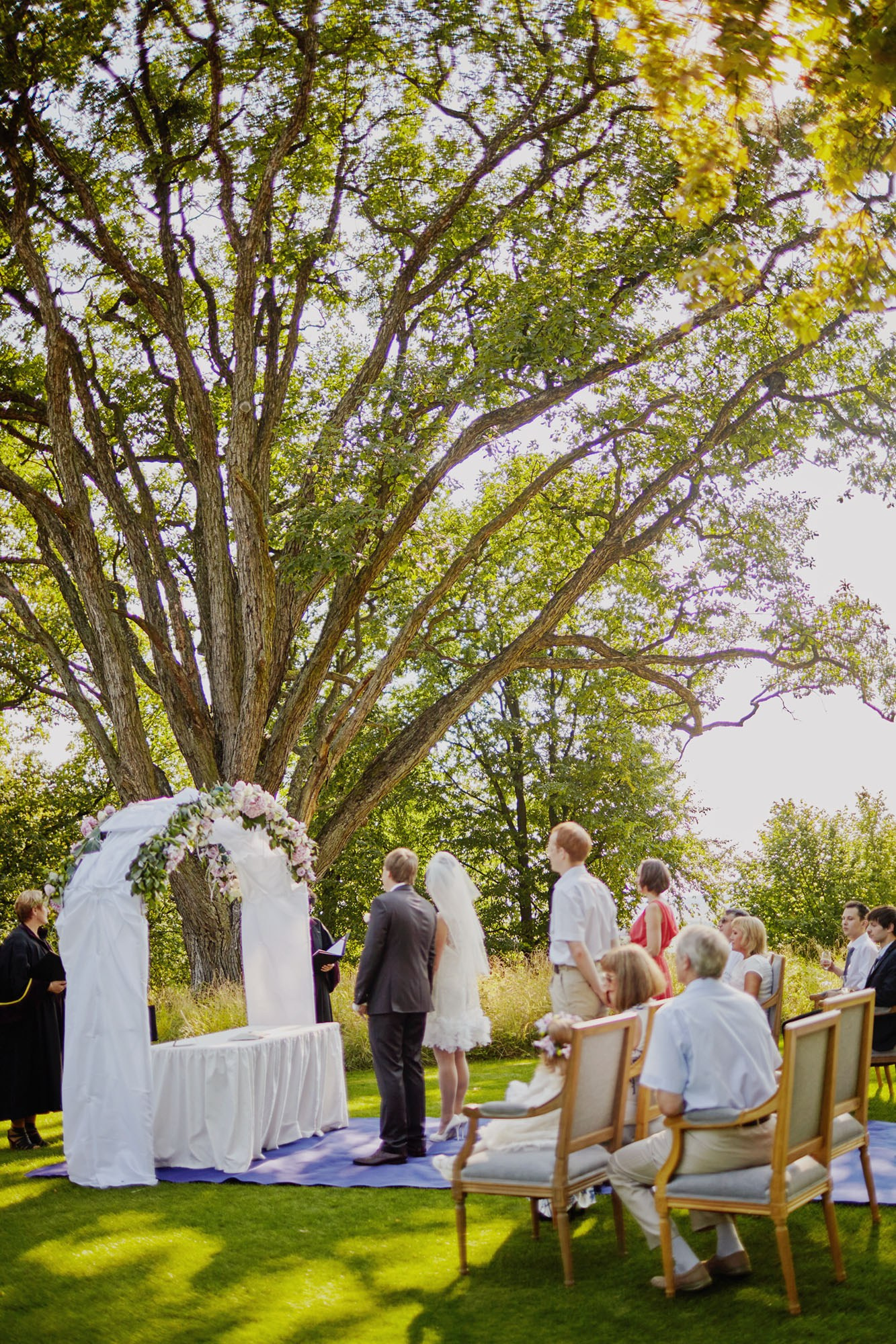 Wedding ceremony under trees with floral arch and French blue carpet.