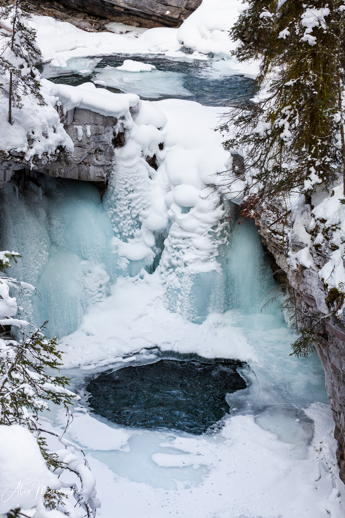 Photographing Winter Wonderland — Canada. Pet, Senior, Landscape, portrait studio, photographer in Miami and Sou