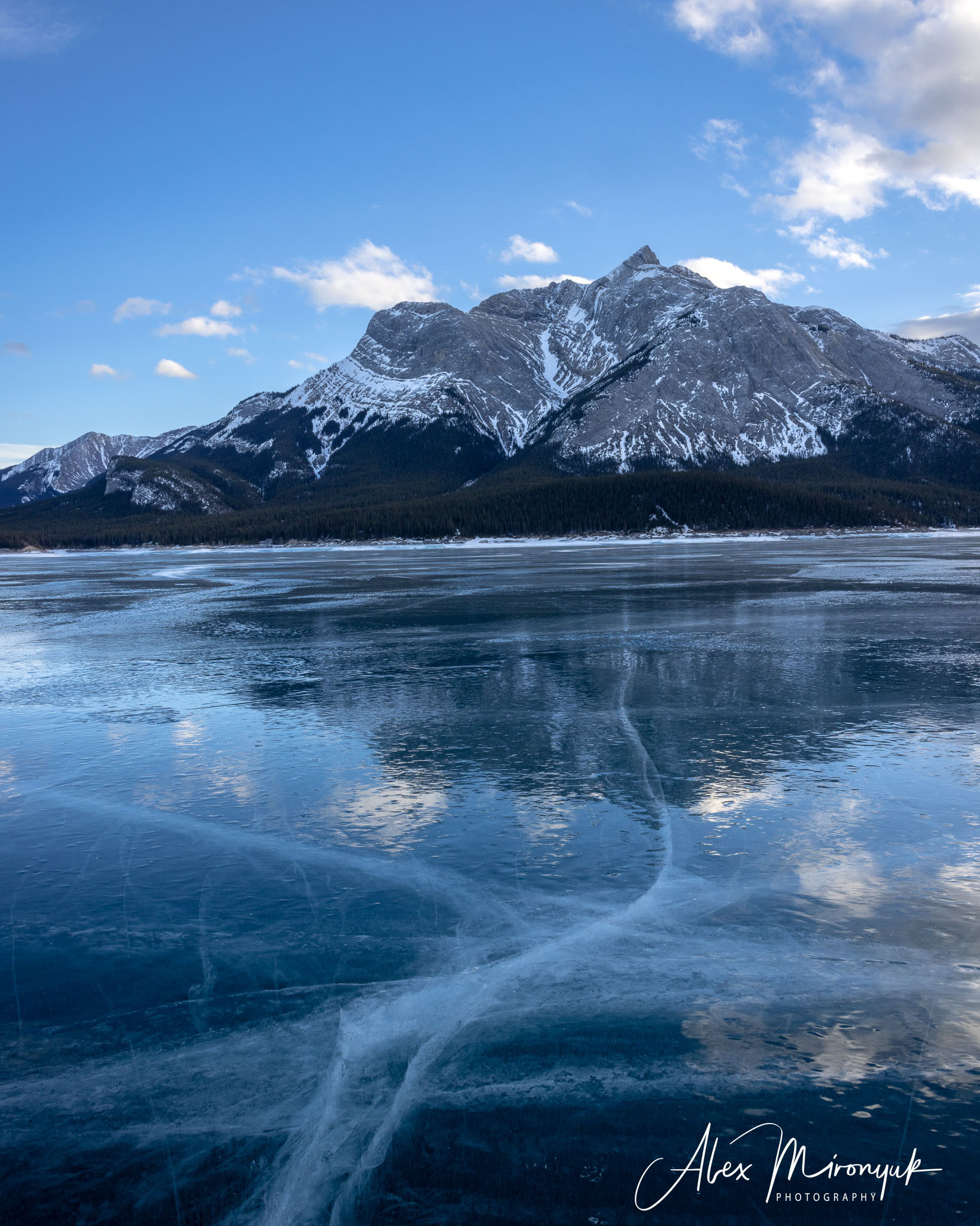 Photographing Winter Wonderland — Canada. Pet, Senior, Landscape, portrait studio, photographer in Miami and Sou