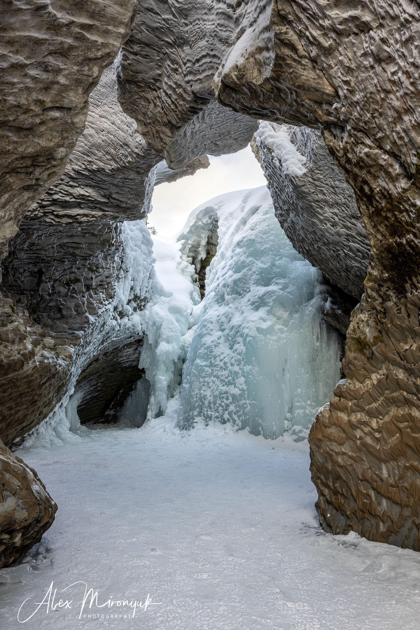 Photographing Winter Wonderland — Canada. Pet, Senior, Landscape, portrait studio, photographer in Miami and Sou