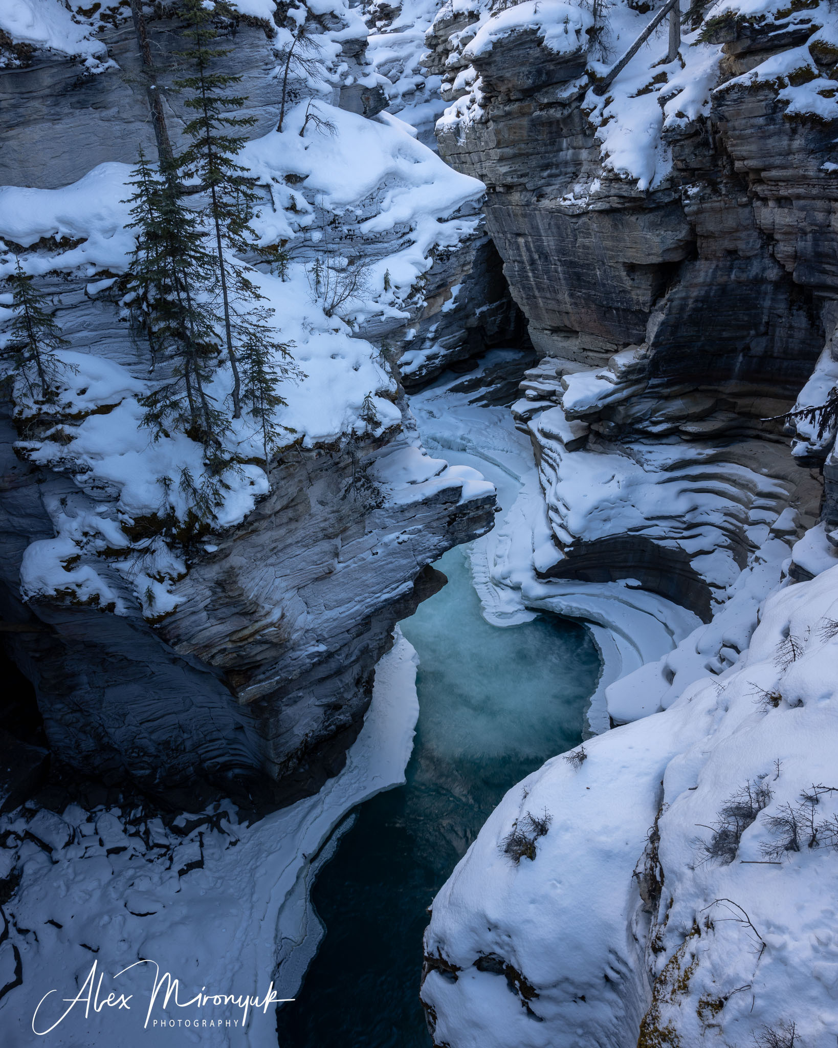 Photographing Winter Wonderland — Canada. Pet, Senior, Landscape, portrait studio, photographer in Miami and Sou