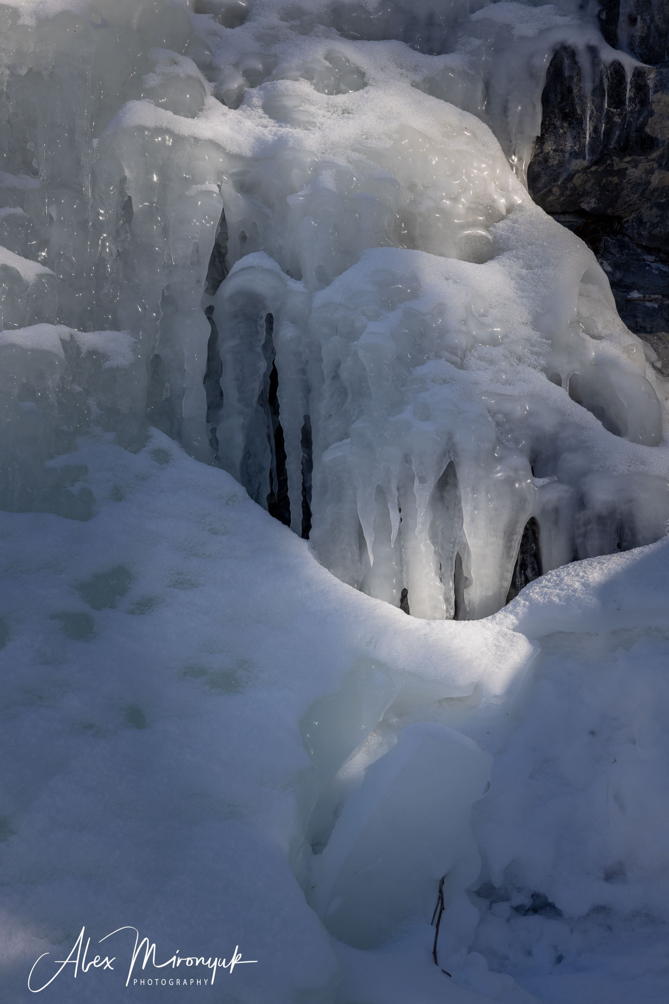Photographing Winter Wonderland — Canada. Pet, Senior, Landscape, portrait studio, photographer in Miami and Sou
