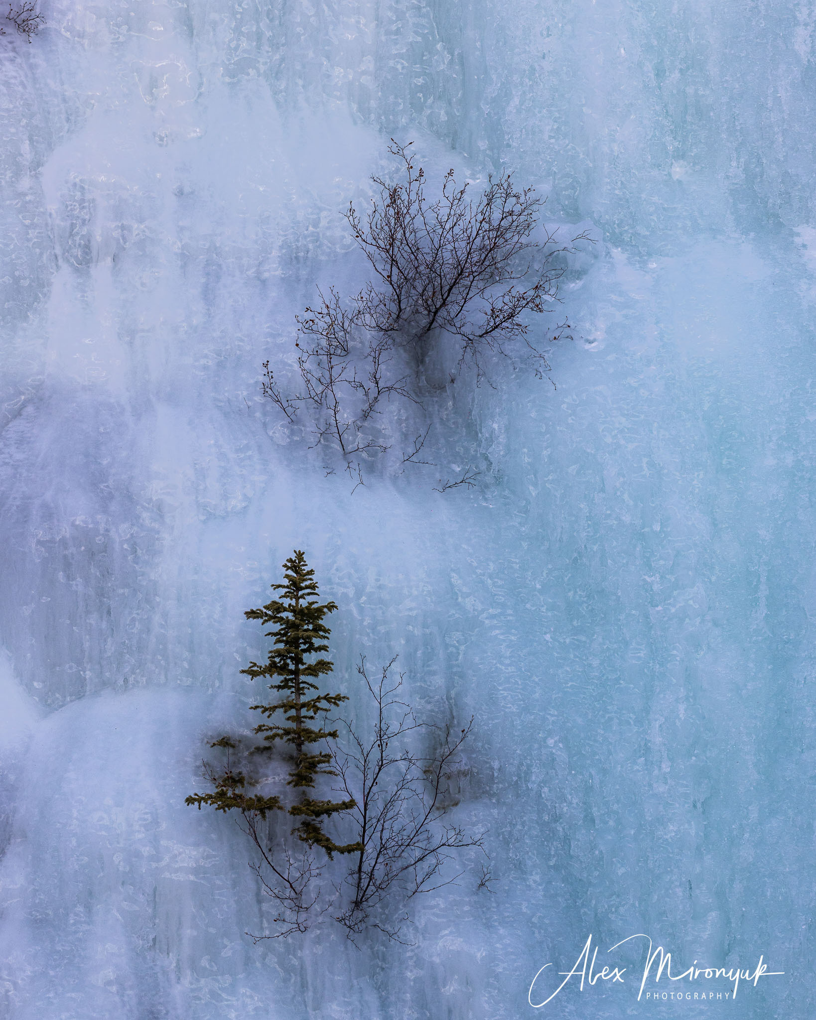 Photographing Winter Wonderland — Canada. Pet, Senior, Landscape, portrait studio, photographer in Miami and Sou