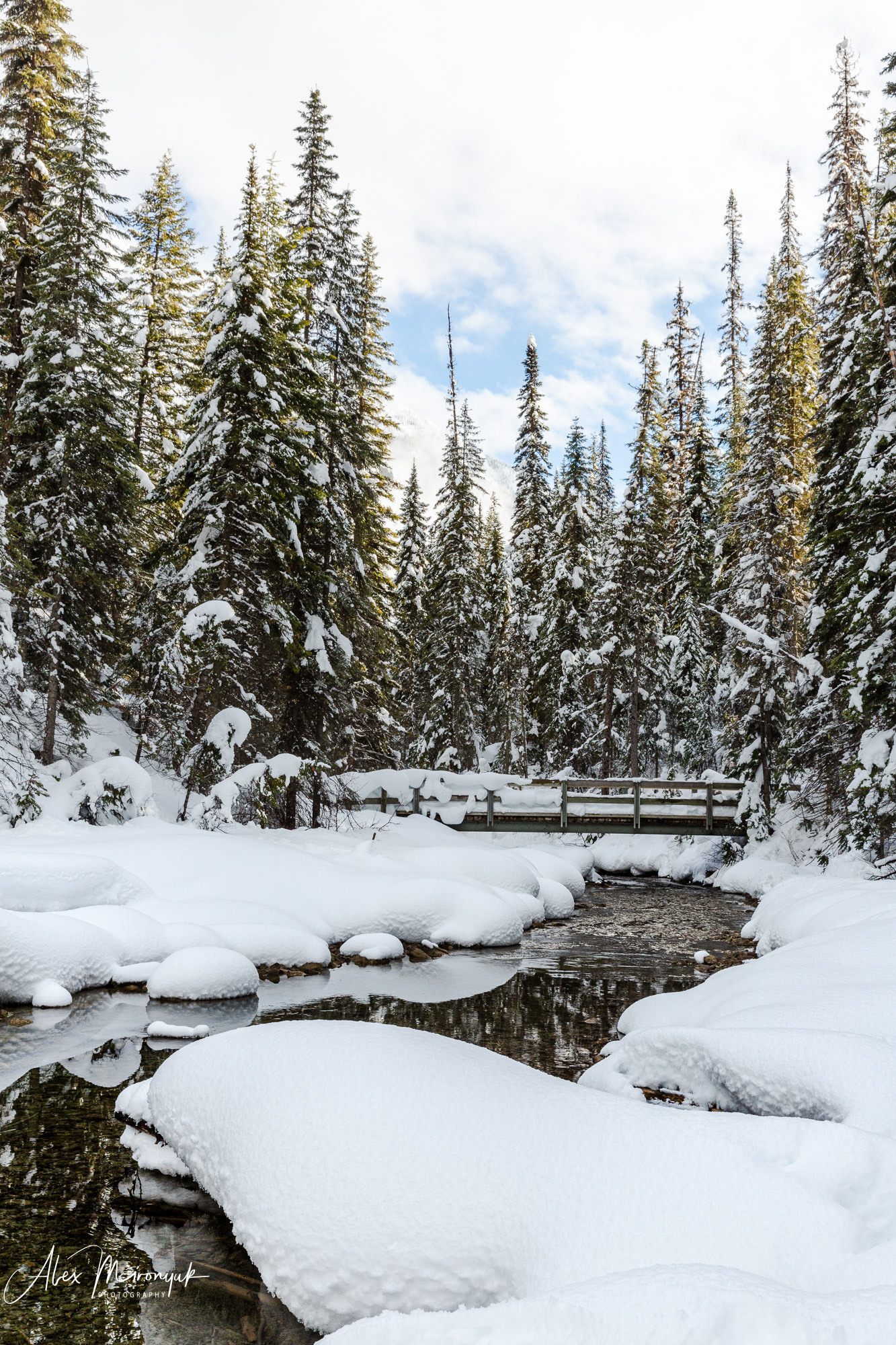 Photographing Winter Wonderland — Canada. Pet, Senior, Landscape, portrait studio, photographer in Miami and Sou