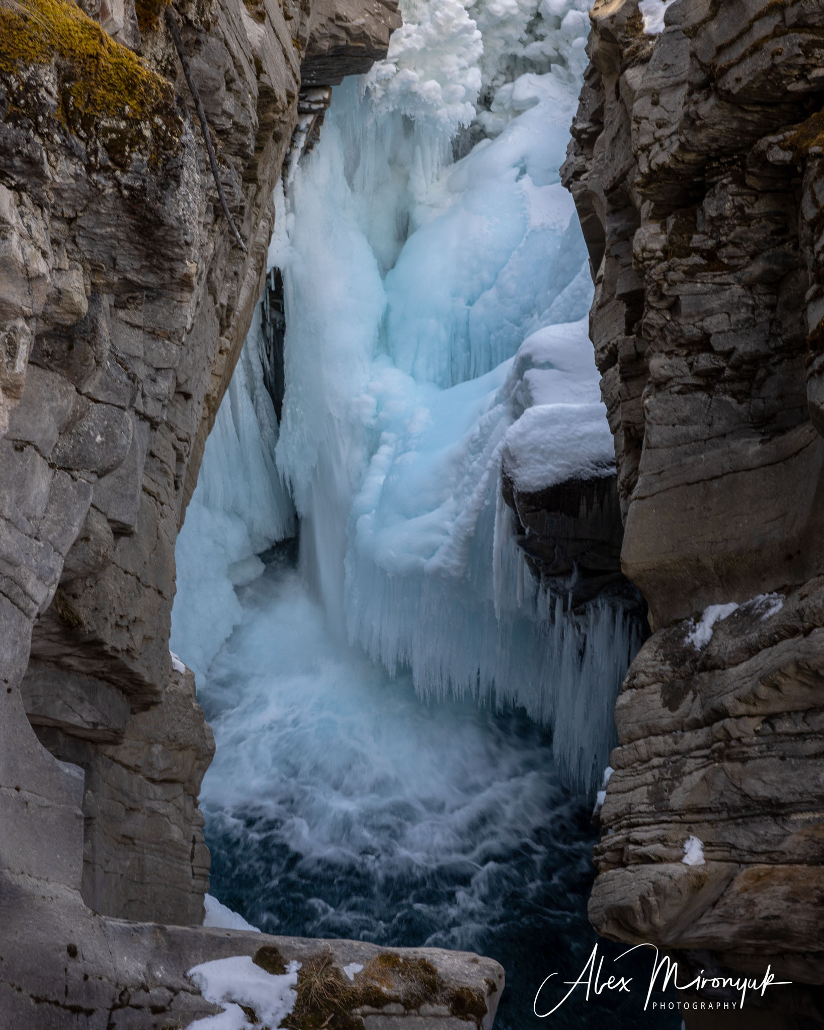 Photographing Winter Wonderland — Canada. Pet, Senior, Landscape, portrait studio, photographer in Miami and Sou