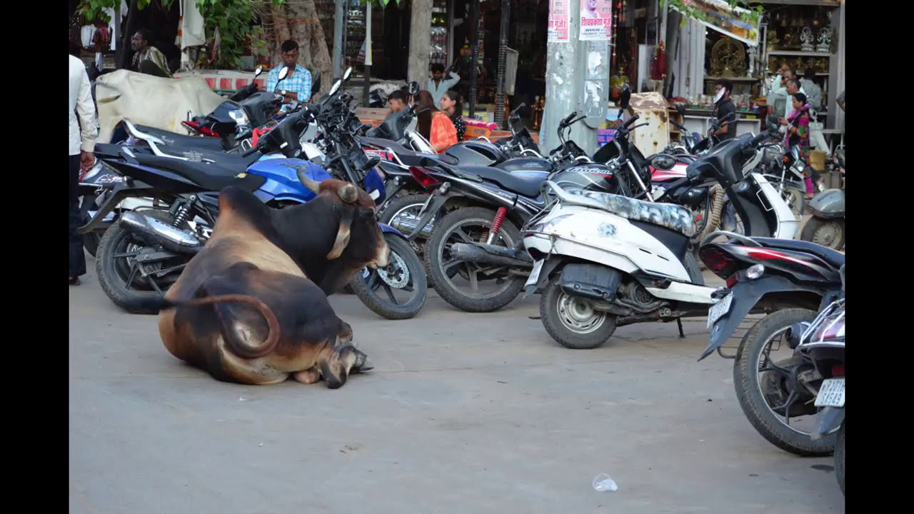 Отчёт о путешествии Индия 2017. Милок и Кирок это позитивные и реальные персоны из Люксембурга, много