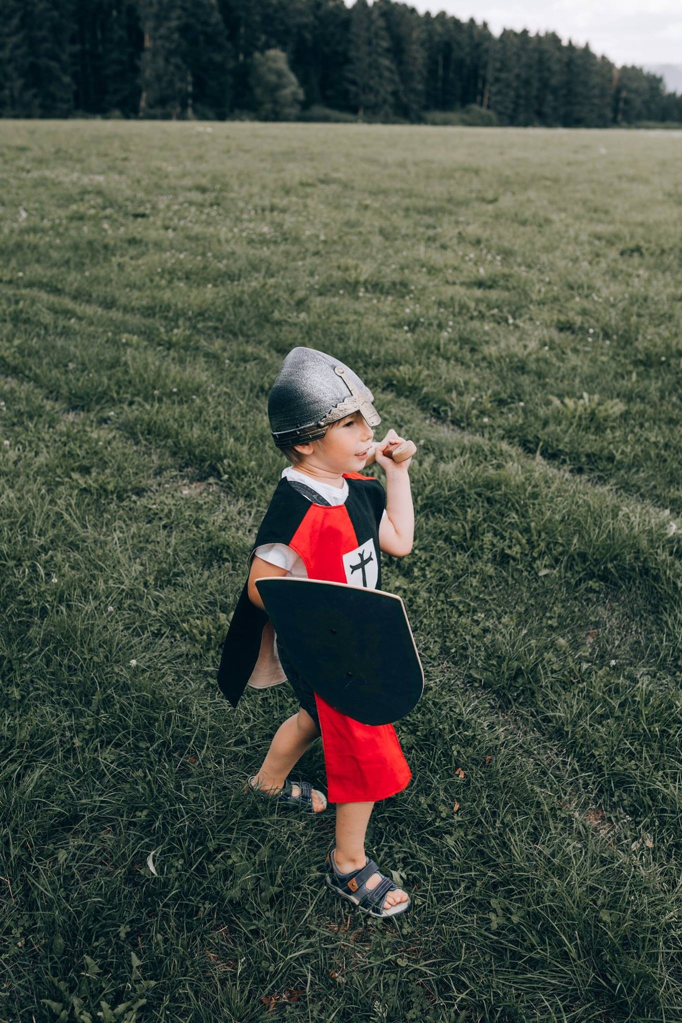 Familia de eroi. Emotions Photo Art