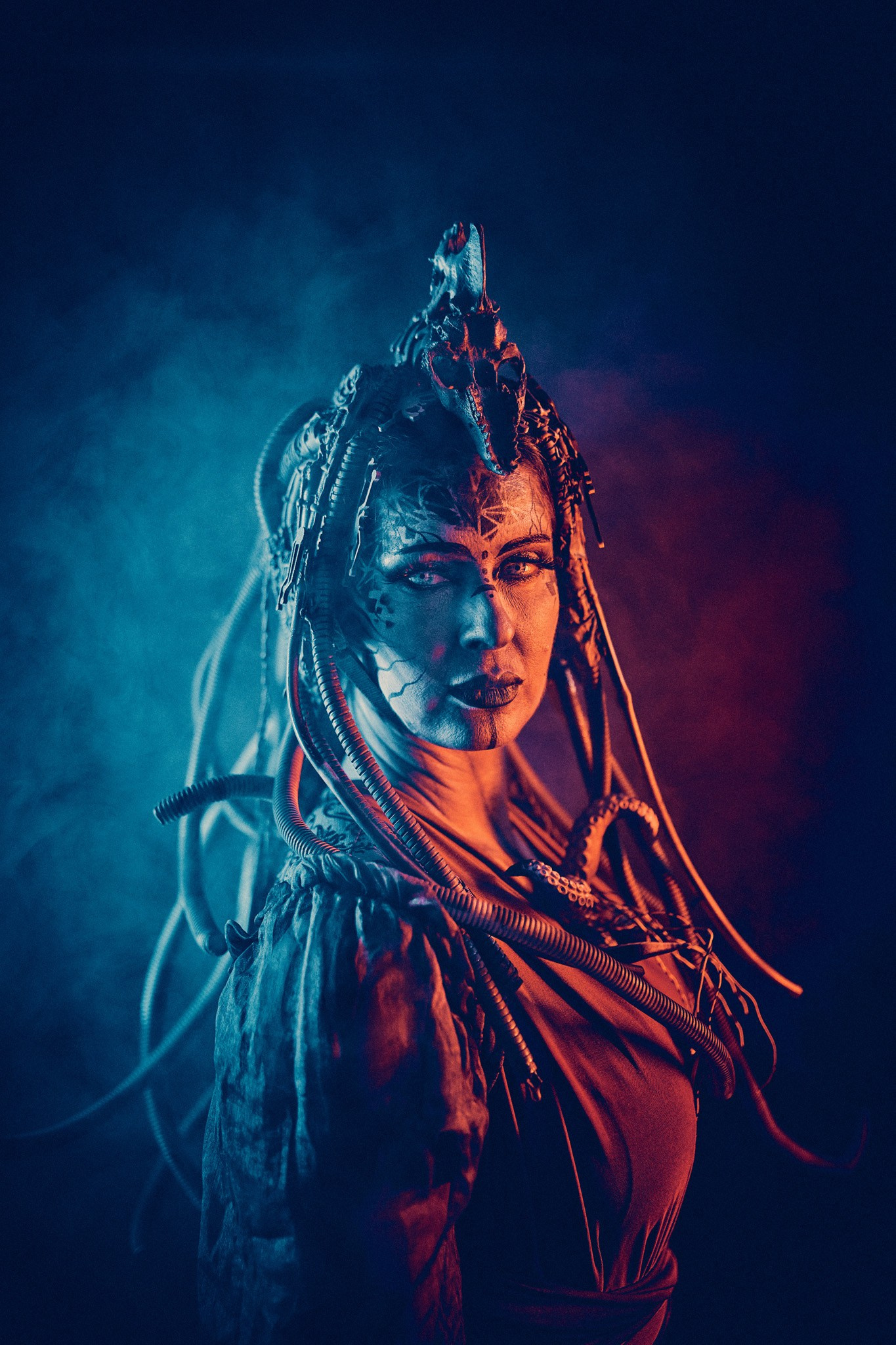 OctoDroid. Андрей Шипилов — Фотография & Видеография