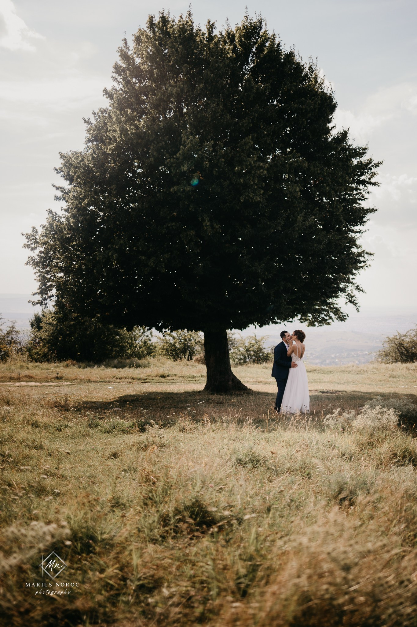 Elena & Mihai | Padurea Bucium Iasi