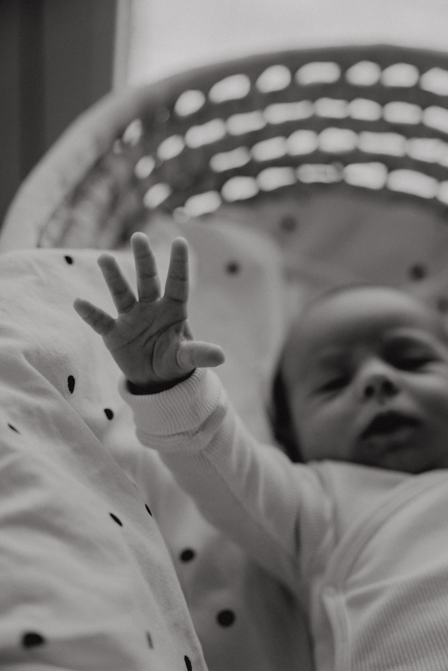 Jana & Leónidas. Rodinna fotografka Plzen Anita Dergachova