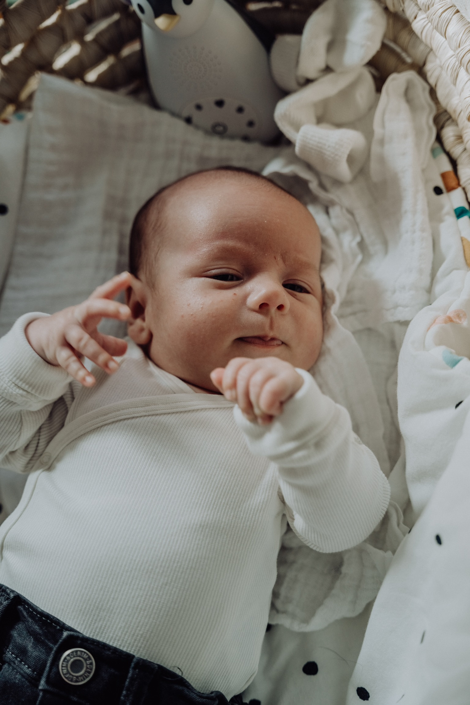 Jana & Leónidas. Rodinna fotografka Plzen Anita Dergachova