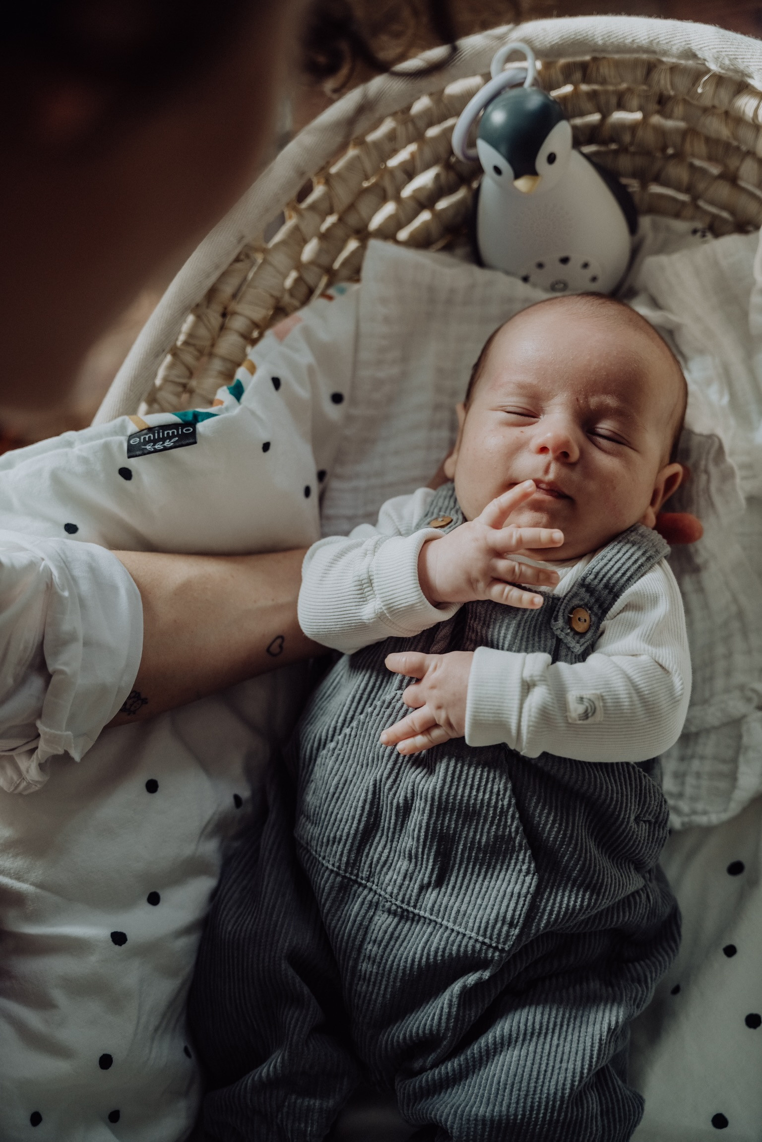 Jana & Leónidas. Rodinna fotografka Plzen Anita Dergachova