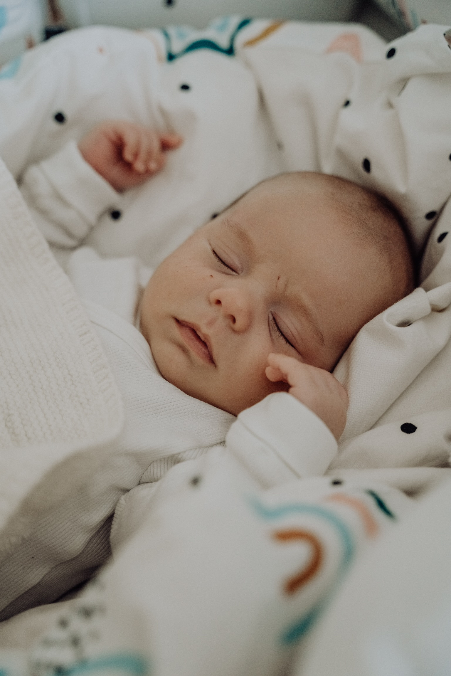 Jana & Leónidas. Rodinna fotografka Plzen Anita Dergachova