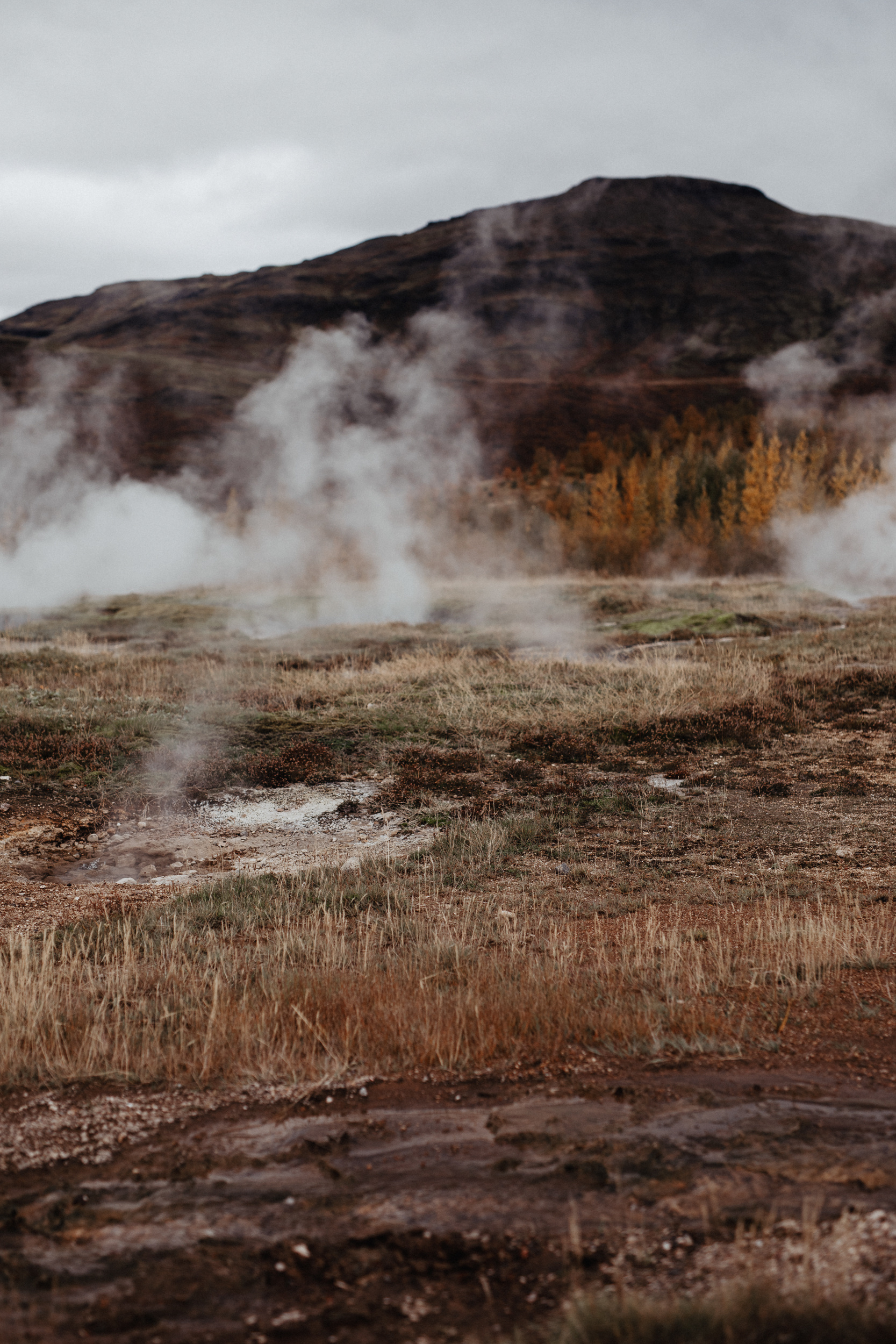 South Iceland elopement. Iceland elopement photographer & videographer