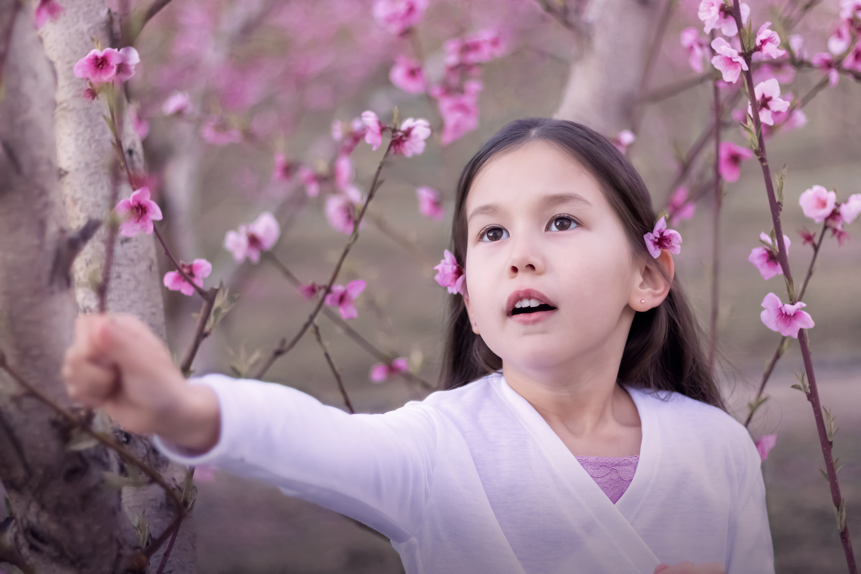 Mini seances du verger fleuri. Фотограф Ретушер во Франции в Провансе