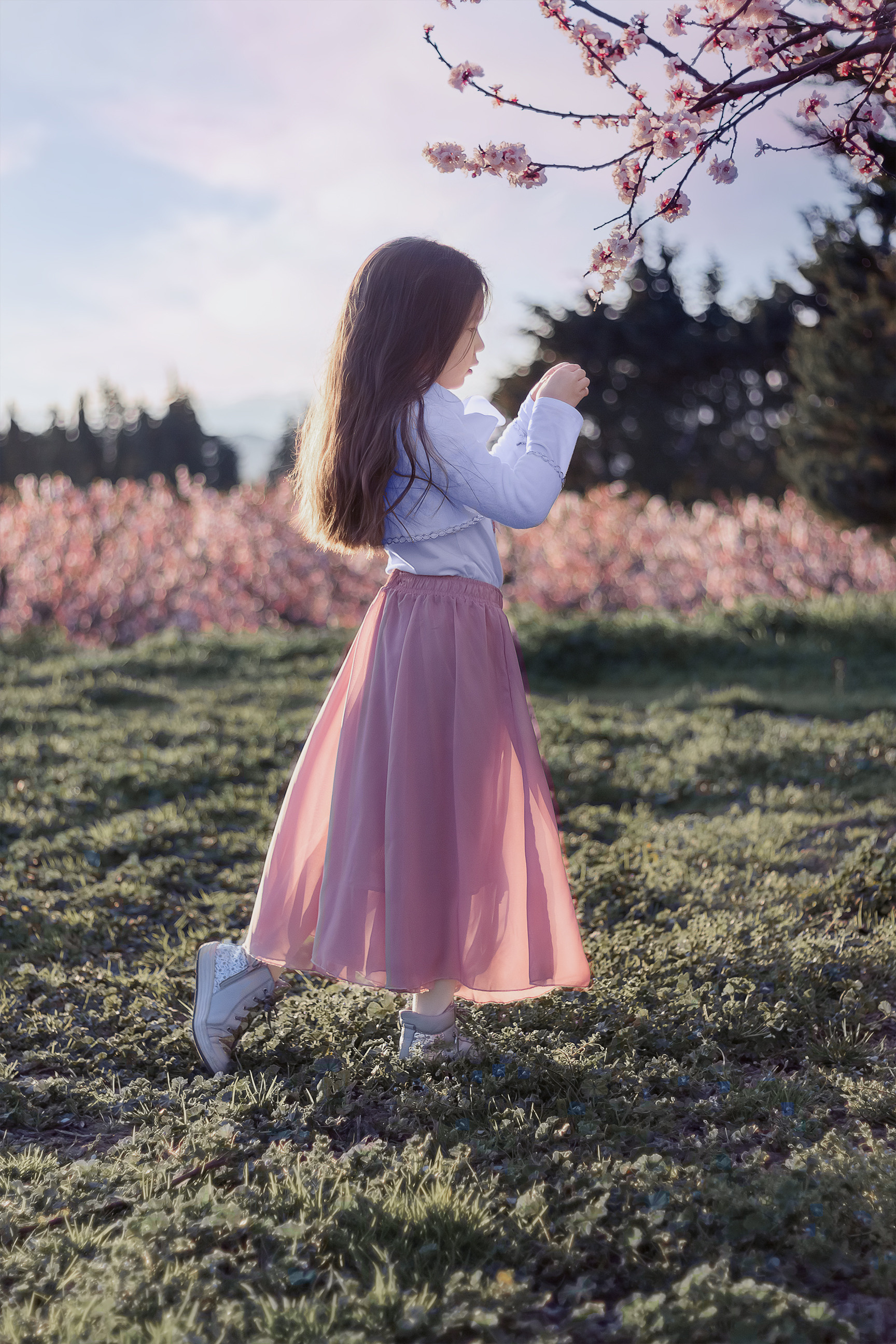 Mini seances du verger fleuri. Фотограф Ретушер во Франции в Провансе