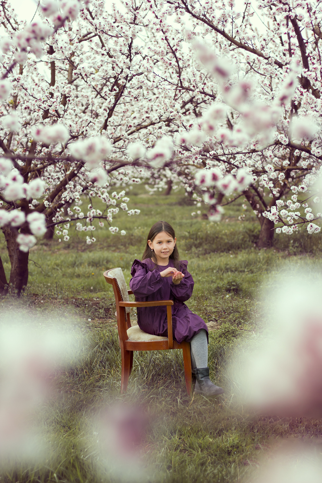 Mini seances du verger fleuri. Фотограф Ретушер во Франции в Провансе