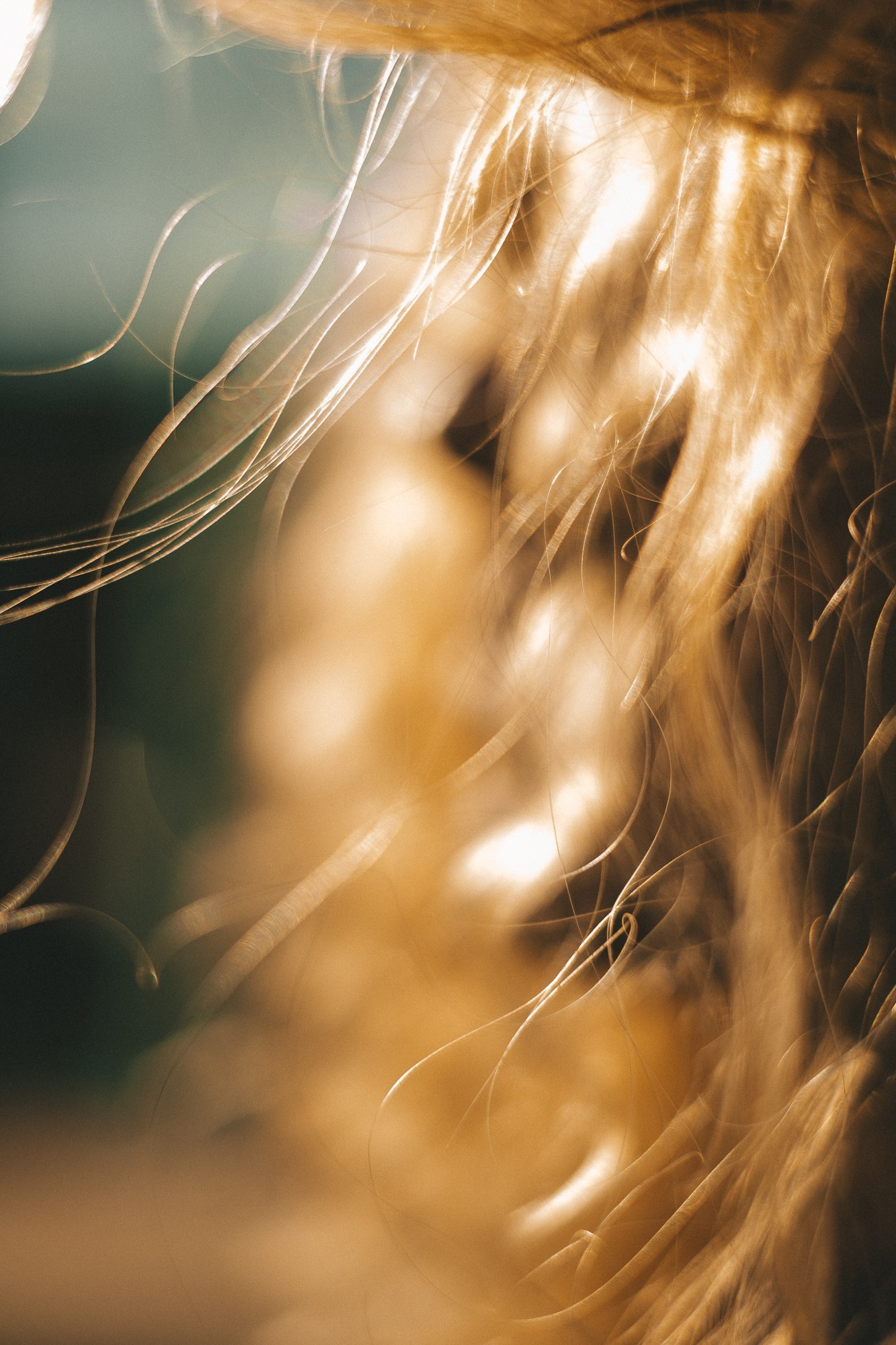 Portrait. Eure authentischen Familien- & Newbornmomente –erzählt in Fotos & Videos