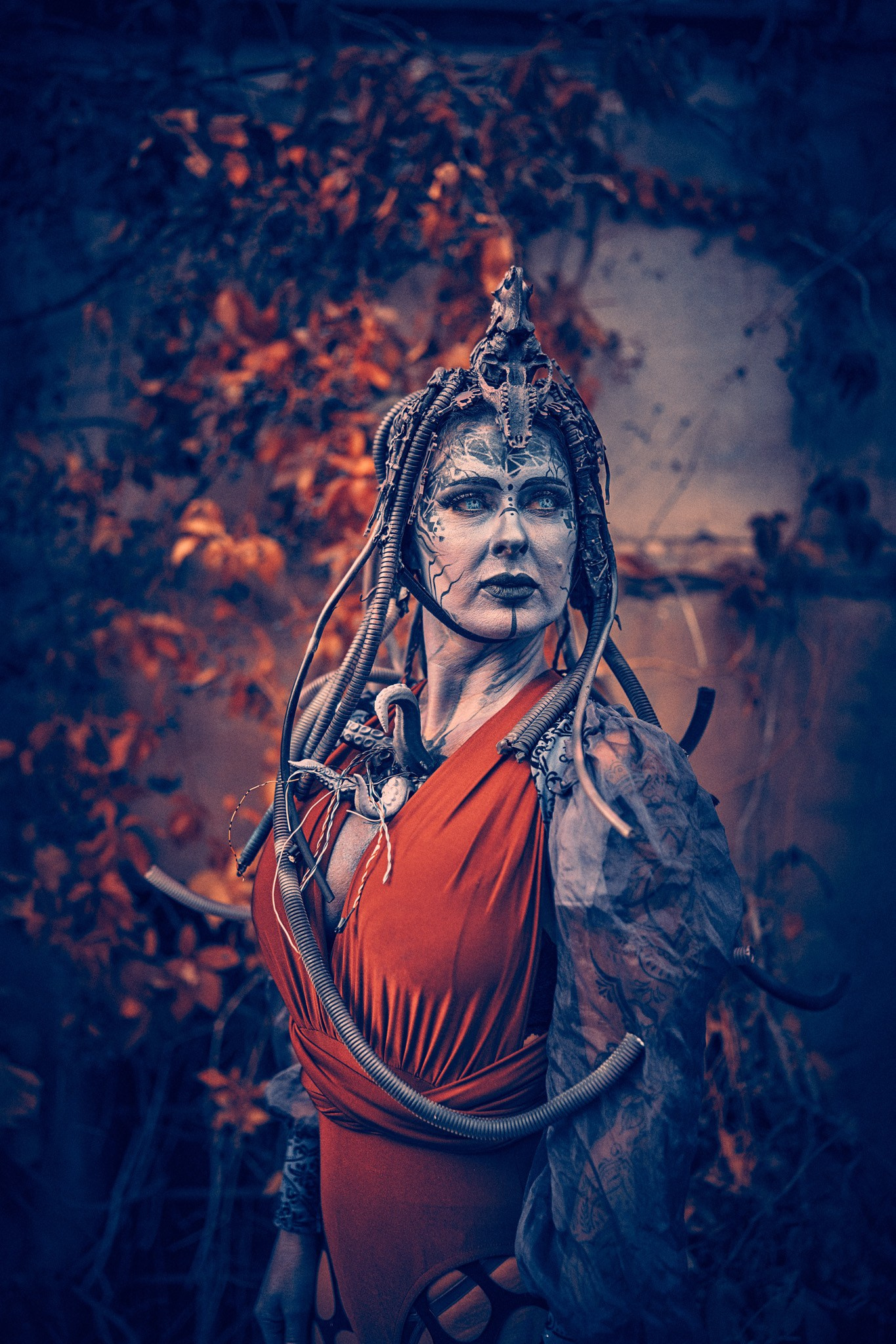 OctoDroid. Андрей Шипилов — Фотография & Видеография