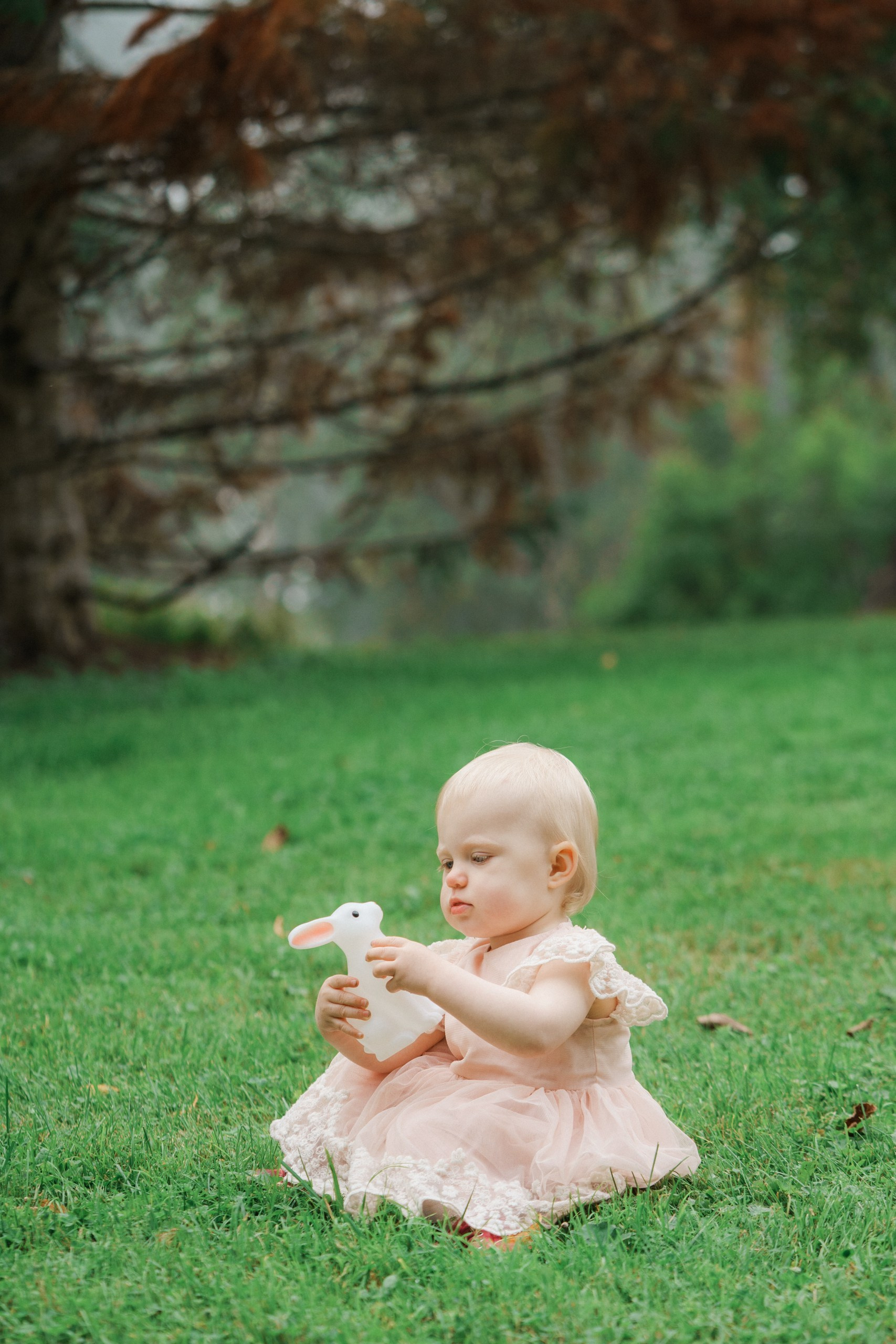 Perhekuvaus sumuisella säällä Tullisaaressa