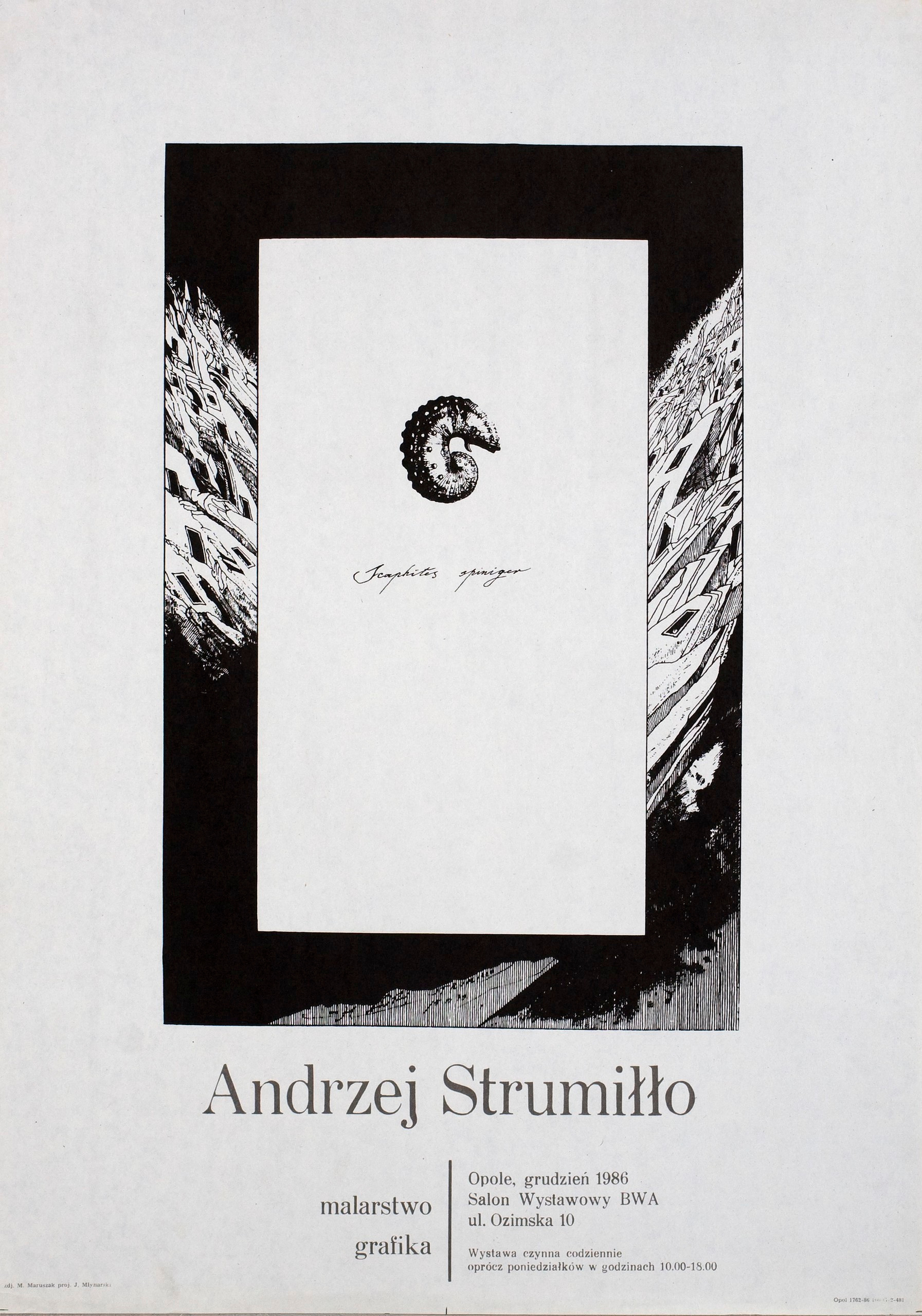 POSTERS. Andrzej Strumillo