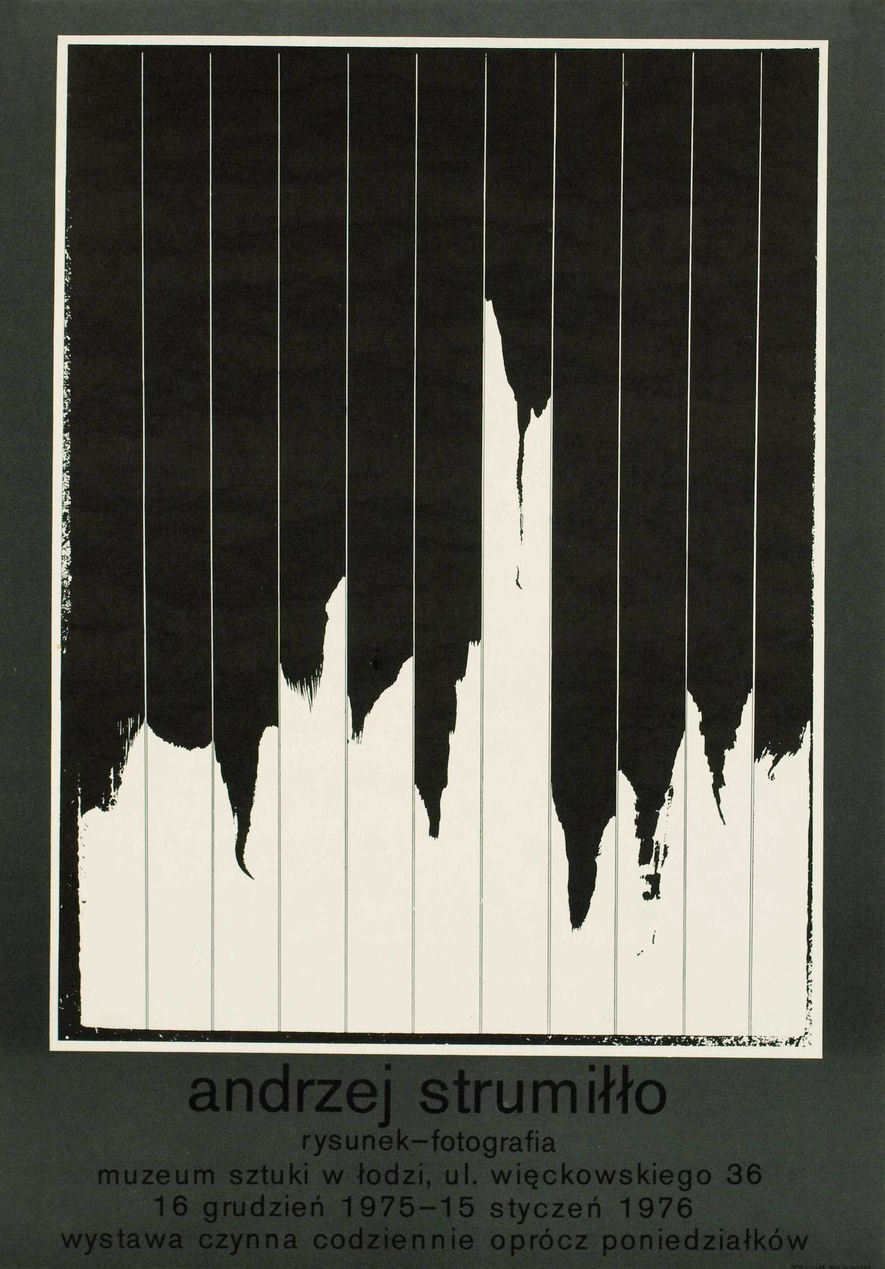 POSTERS. Andrzej Strumillo