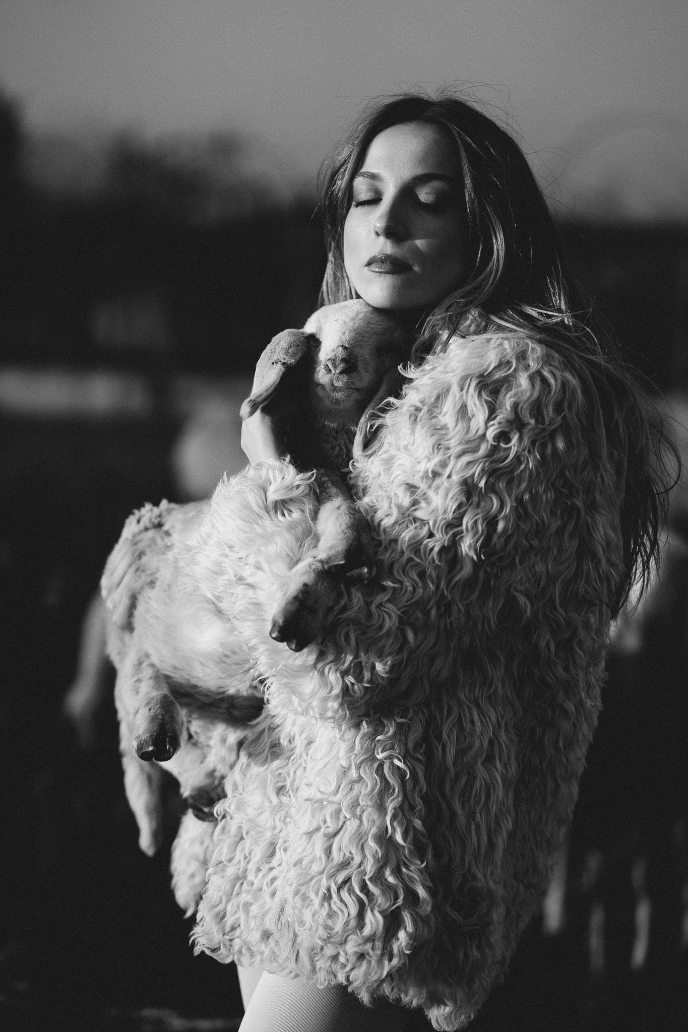 A thousand sheeps. Diana Fedrigo | Fotografa matrimoni in Italia