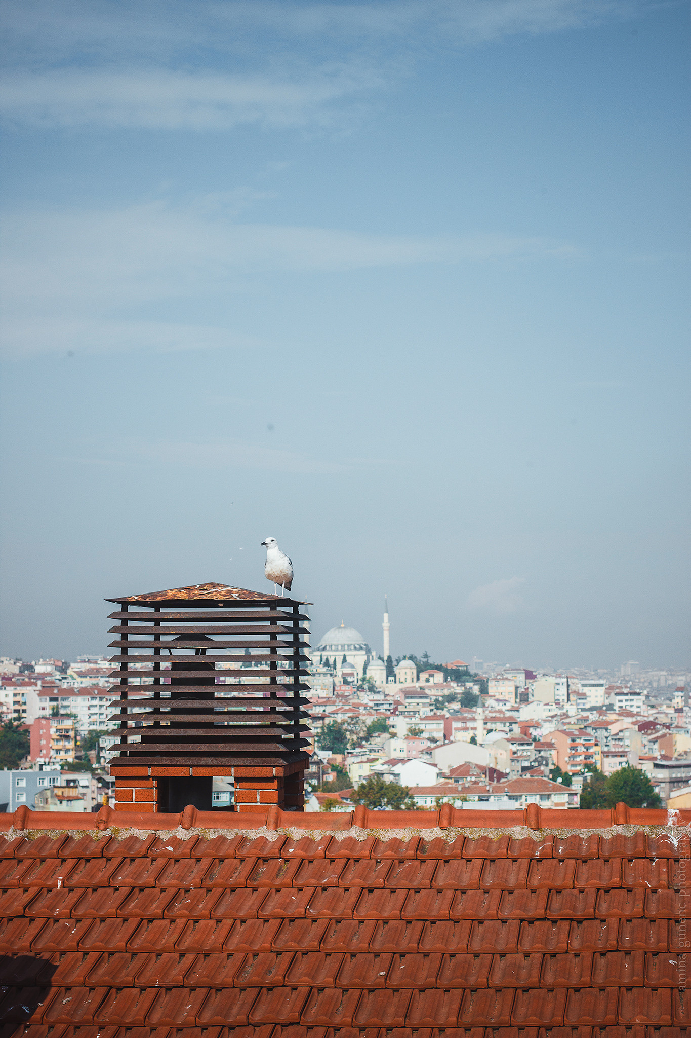 ISTANBUL. A TASTE OF THE CITY 2. Amina Gunenc - bruiloft- en familie fotograaf in Nederland