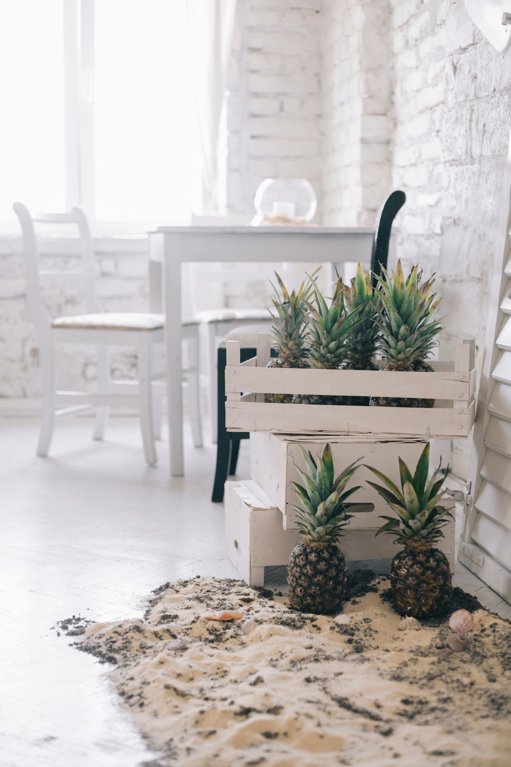 Lisca, Belgrade. Mark Smilyanic | Portrait and Adventure Photographer from Belgrade