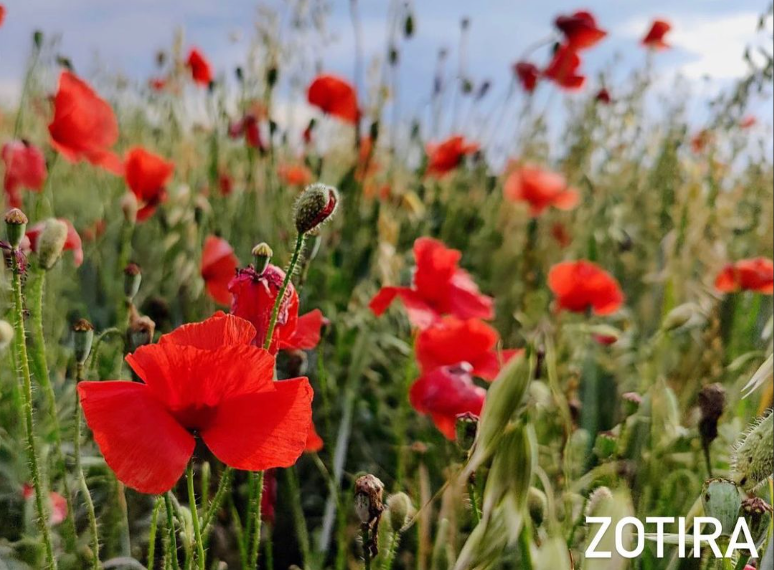 Mentoring Photo Club. Creative Family, Brand, Boudoir and Wedding Photographer in Solihull & Birmingham Irina Zoteeva