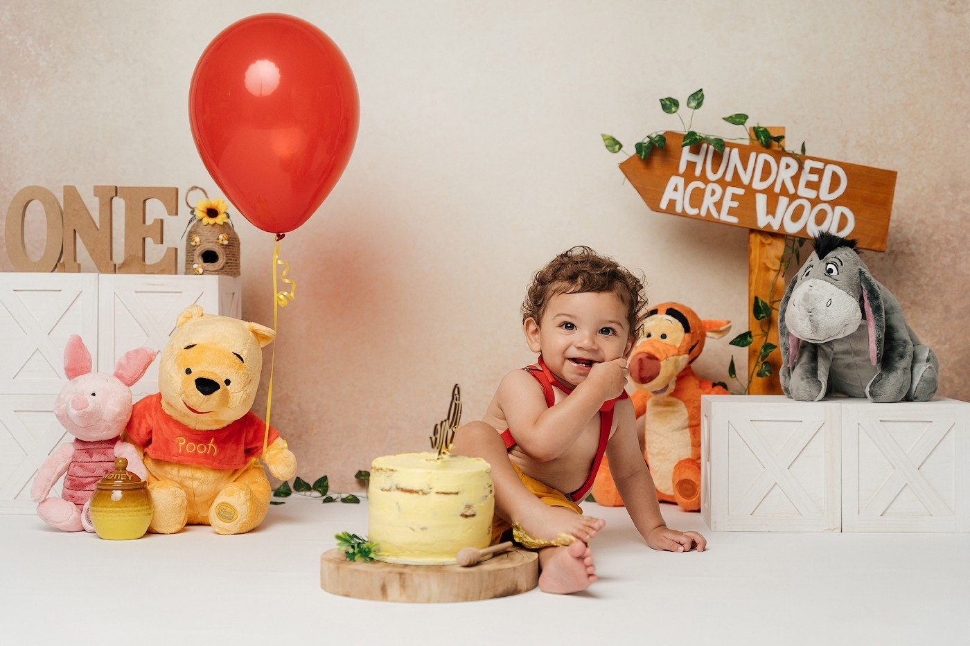 Cake smash session price guide. Newborn and family photographer. Hills District. Sydney