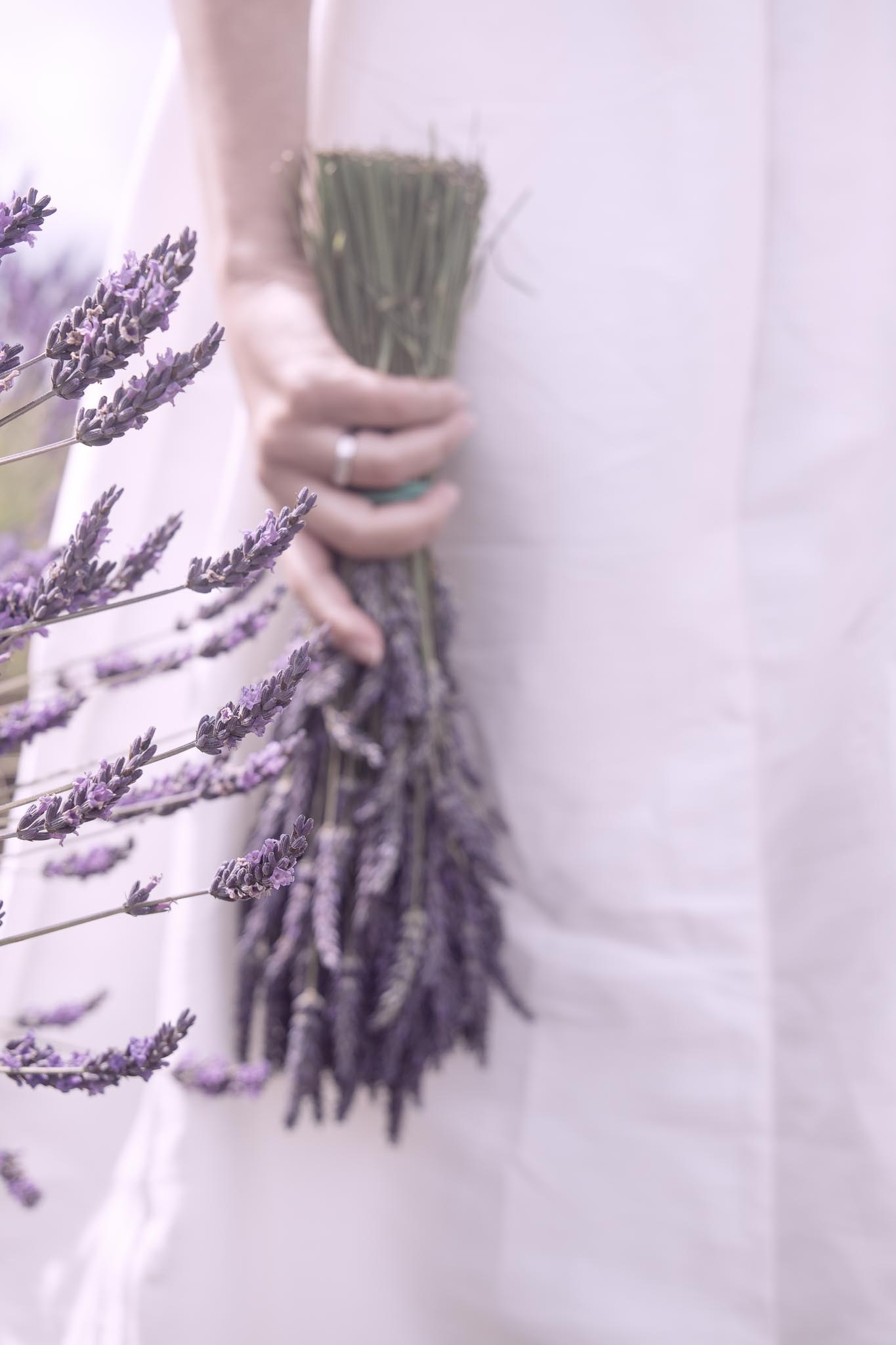 In Harmony with Nature. Natalja Poplavska — Visual artist, Photographer, East Sussex, London