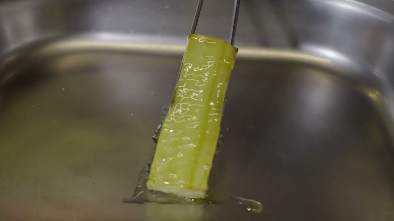 Nos services photo et vidéo pour les entreprises. Dp films - Agence de création de contenu photo et vidéo