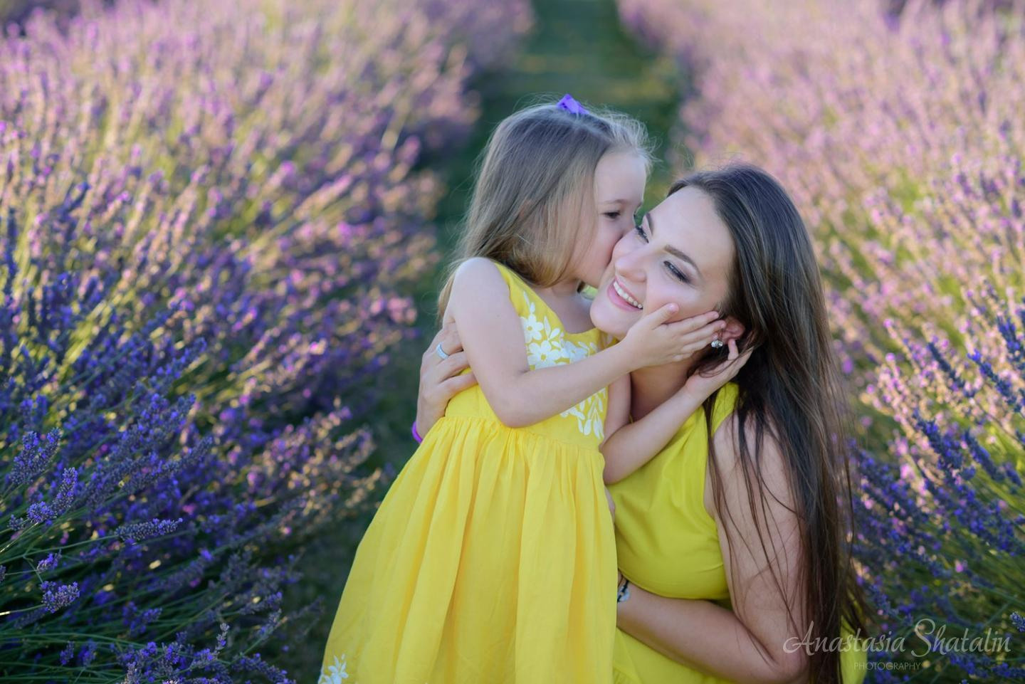 Lavender field photo shoot near Sacramento. Family photographer in Roseville, Rocklin, Folsom, Sacramento