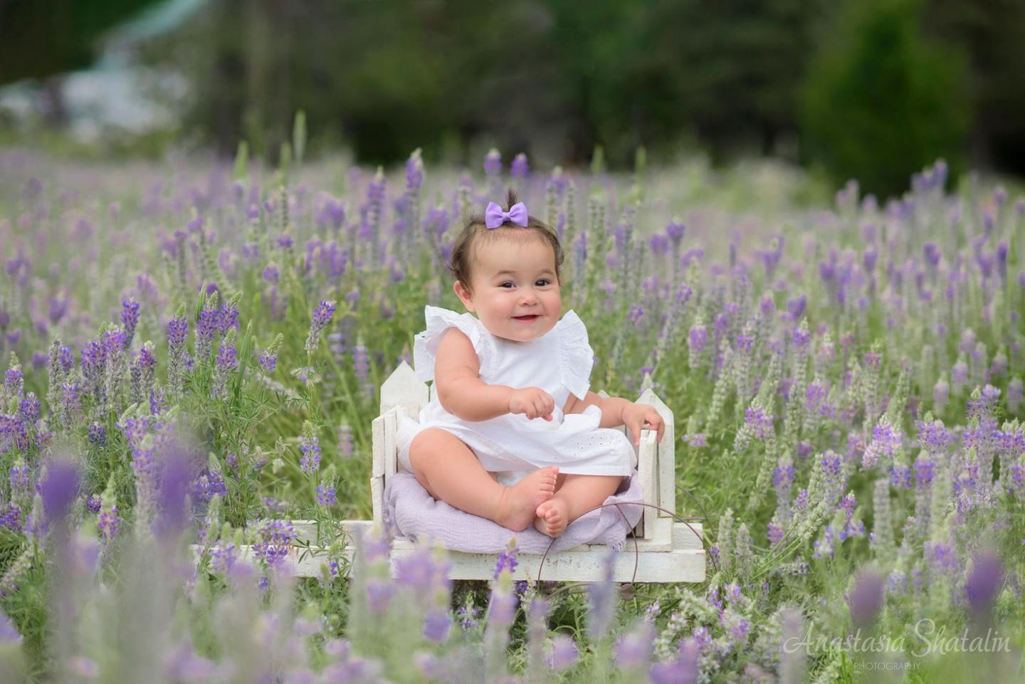 Family outdoor portraits lake Tahoe. Family photographer in Roseville, Rocklin, Folsom, Sacramento