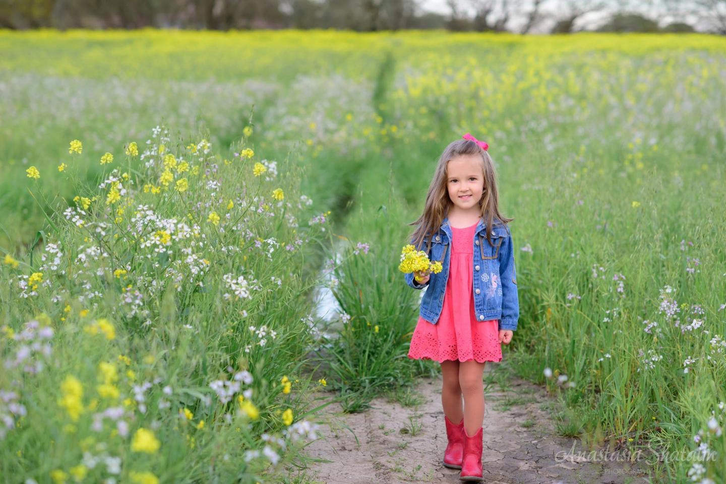 Photo shoot in the field with yellow flowers in Sacramento area. Family photographer in Roseville, Rocklin, Folsom, Sacramento