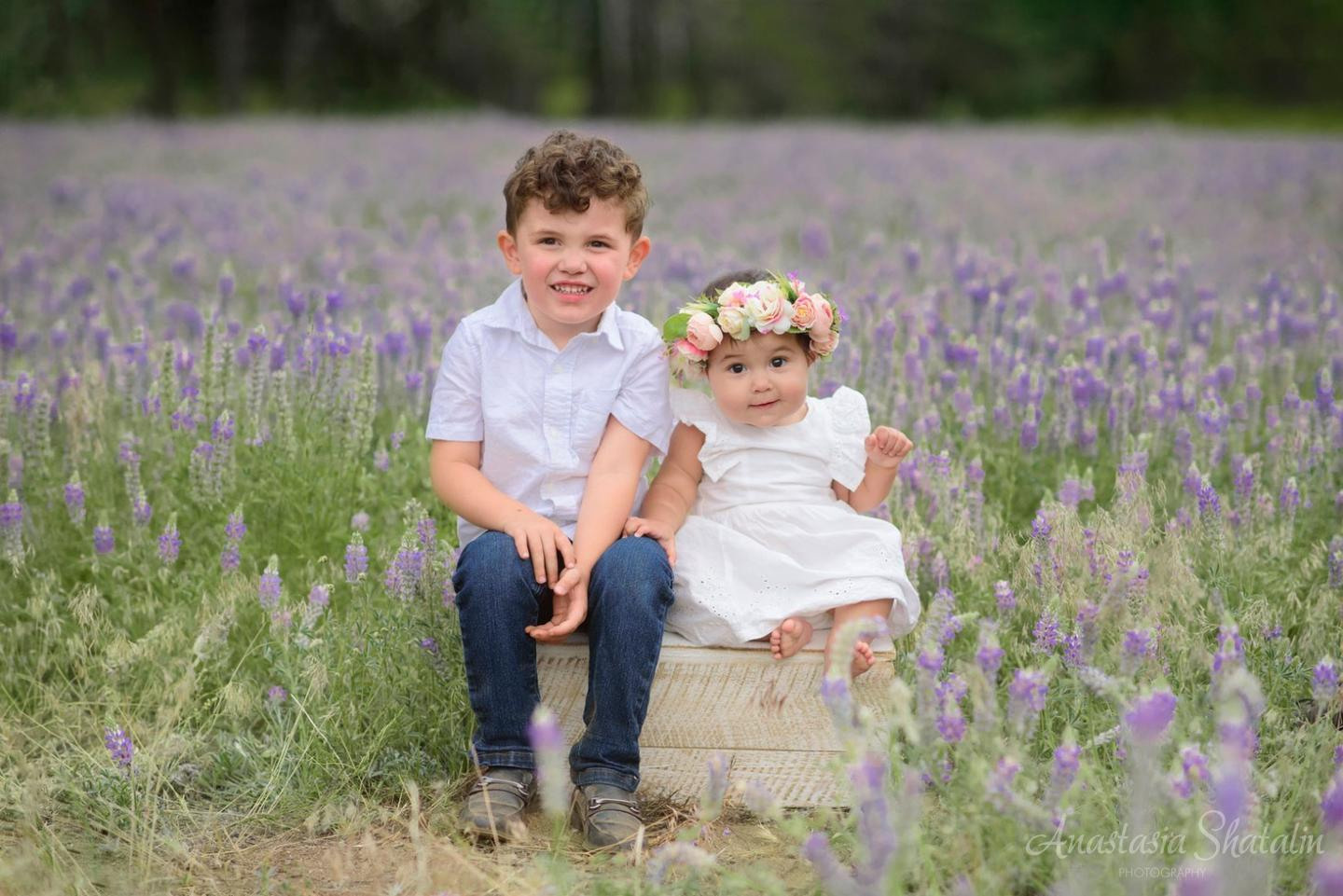 Family outdoor portraits lake Tahoe. Family photographer in Roseville, Rocklin, Folsom, Sacramento
