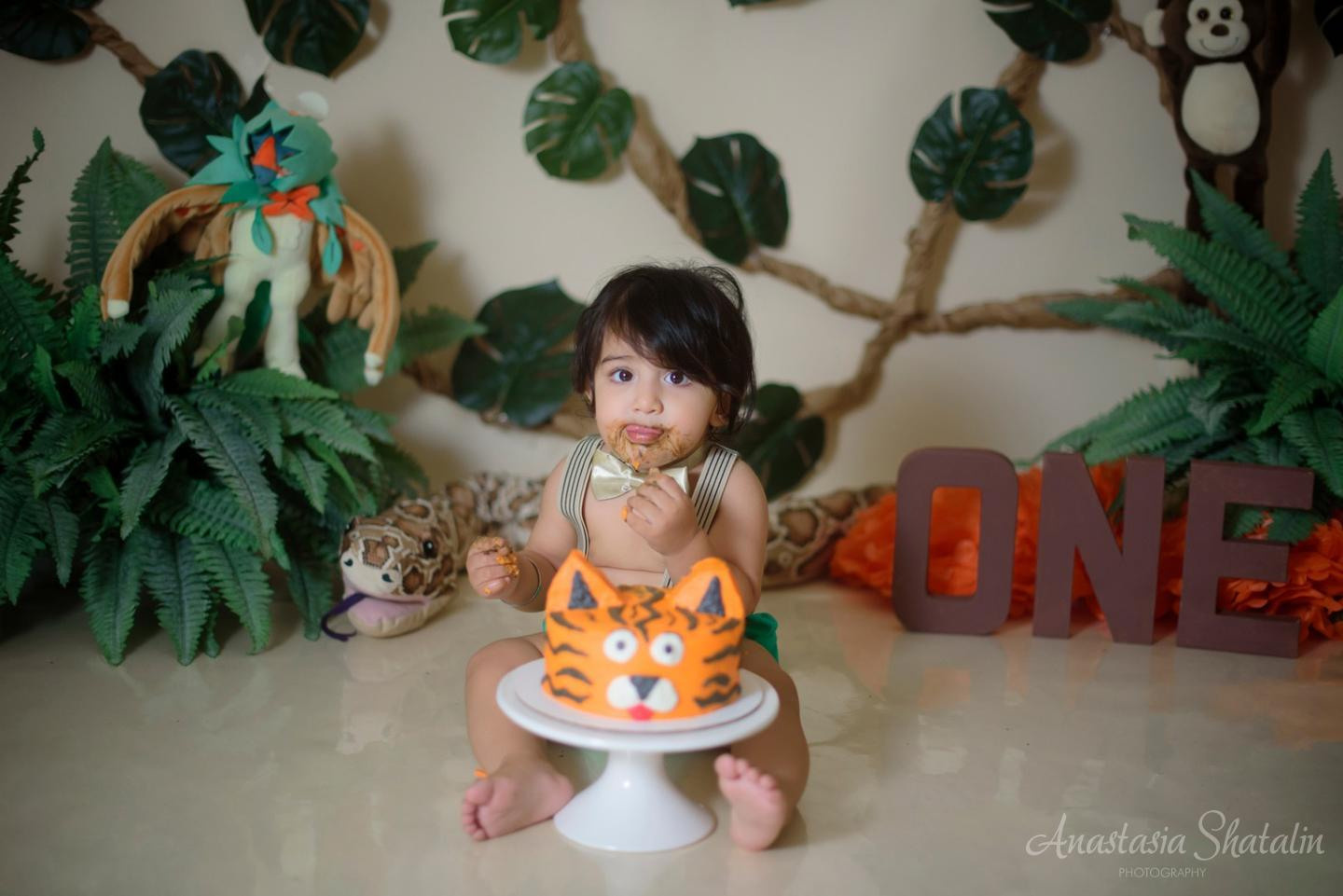 Jungle themed cake smash first birthday photography, Roseville, CA. Family photographer in Roseville, Rocklin, Folsom, Sacramento