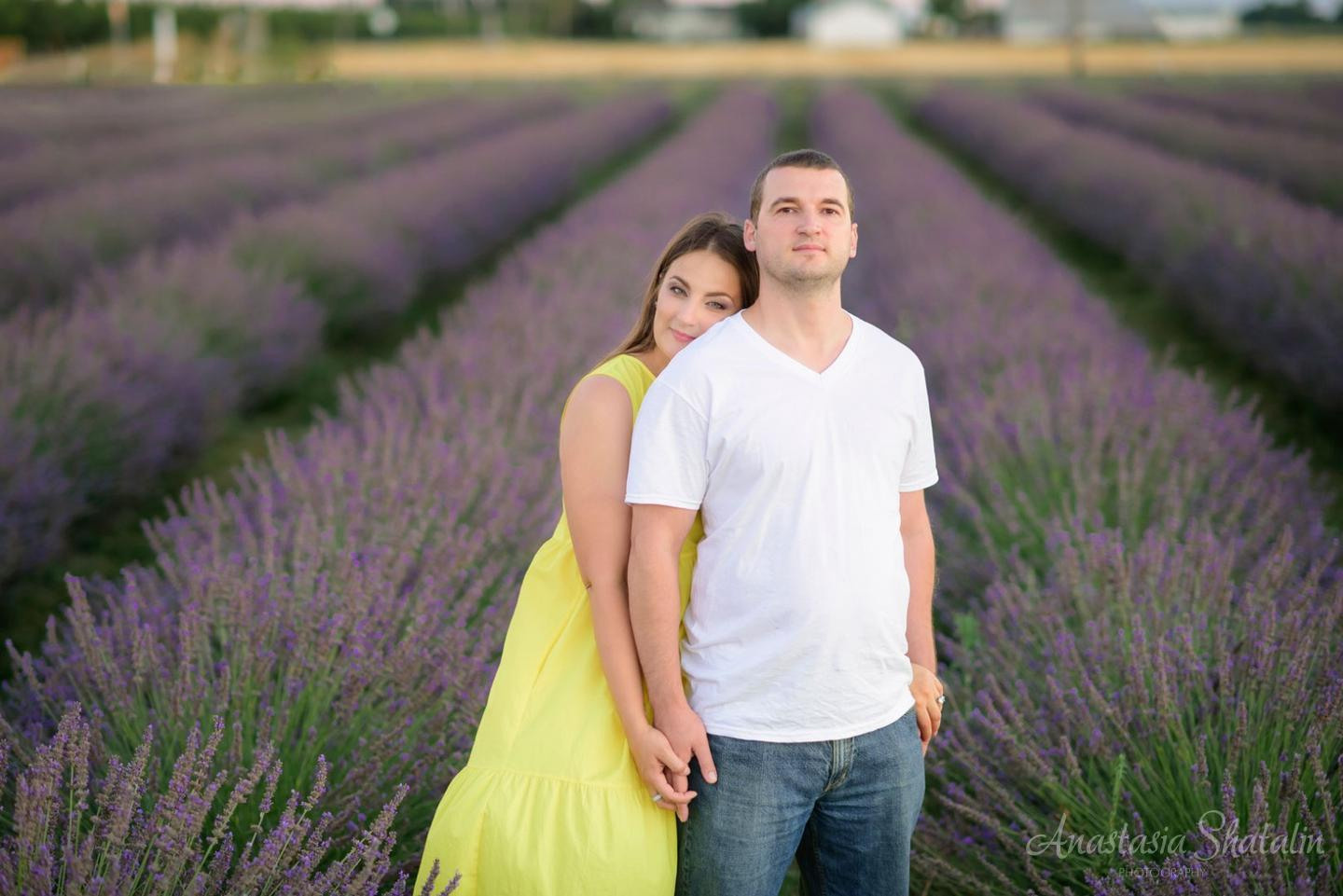 Lavender field photo shoot near Sacramento. Family photographer in Roseville, Rocklin, Folsom, Sacramento