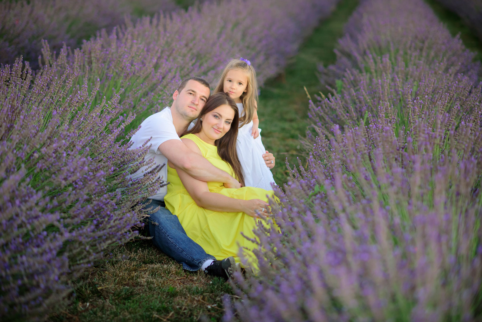 Lavender field photo shoot near Sacramento. Family photographer in Roseville, Rocklin, Folsom, Sacramento