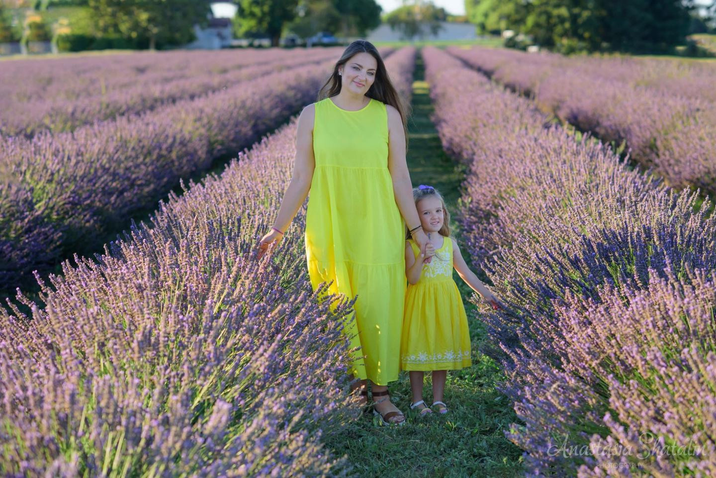 Lavender field photo shoot near Sacramento. Family photographer in Roseville, Rocklin, Folsom, Sacramento