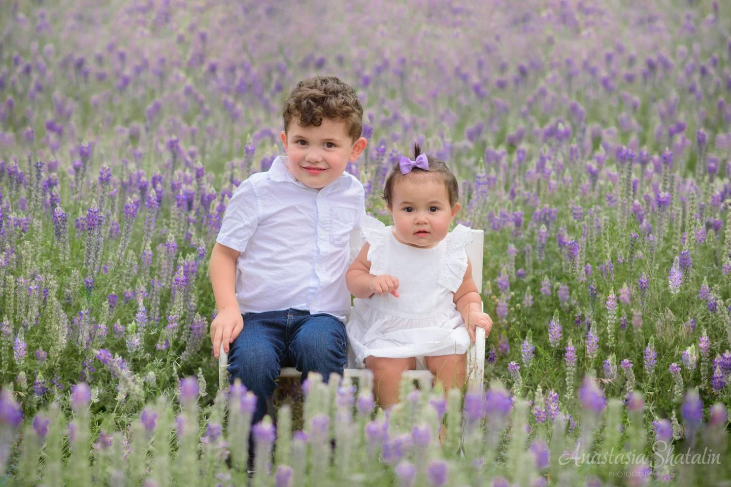Family outdoor portraits lake Tahoe. Family photographer in Roseville, Rocklin, Folsom, Sacramento