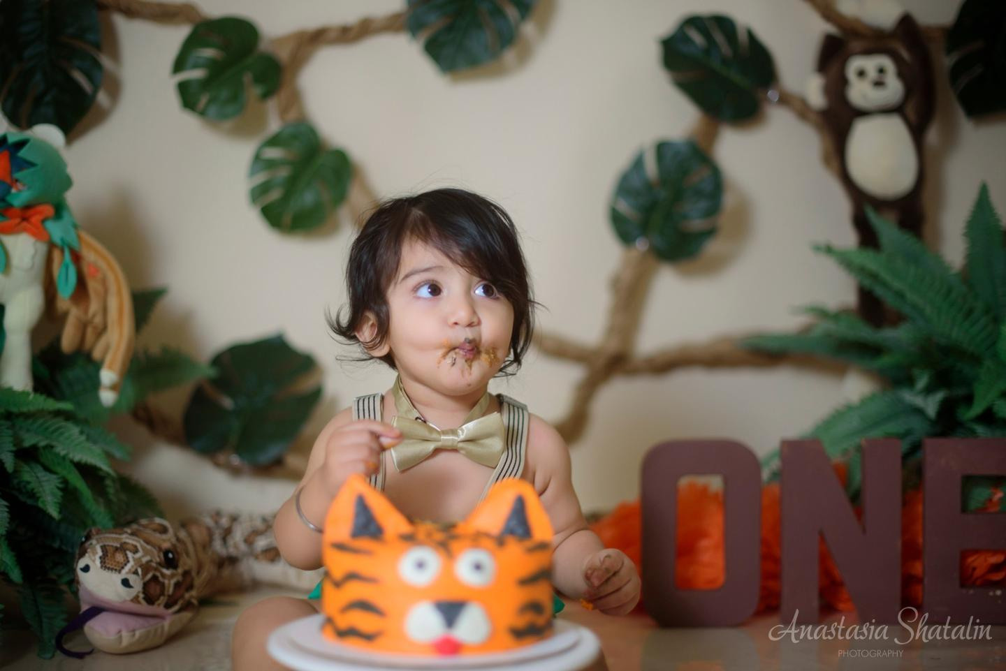 Jungle themed cake smash first birthday photography, Roseville, CA. Family photographer in Roseville, Rocklin, Folsom, Sacramento